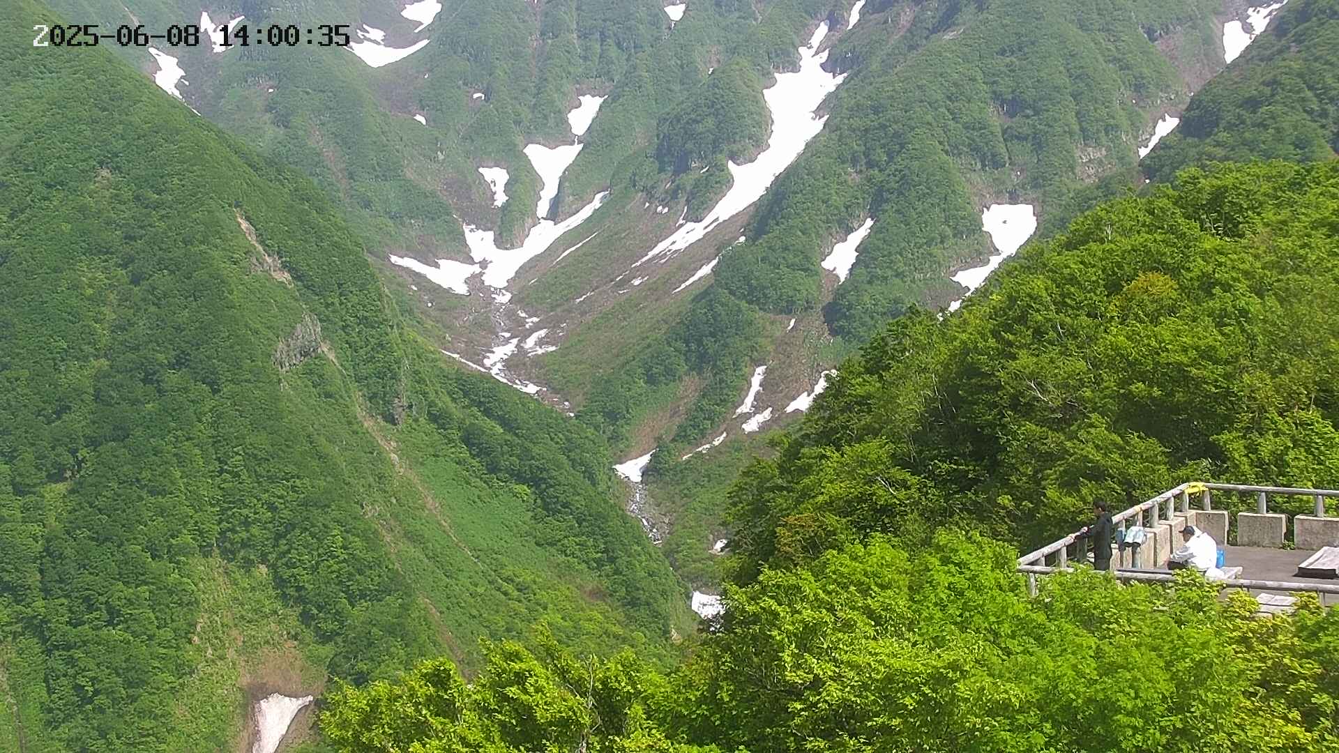 naso20250608140037.jpg