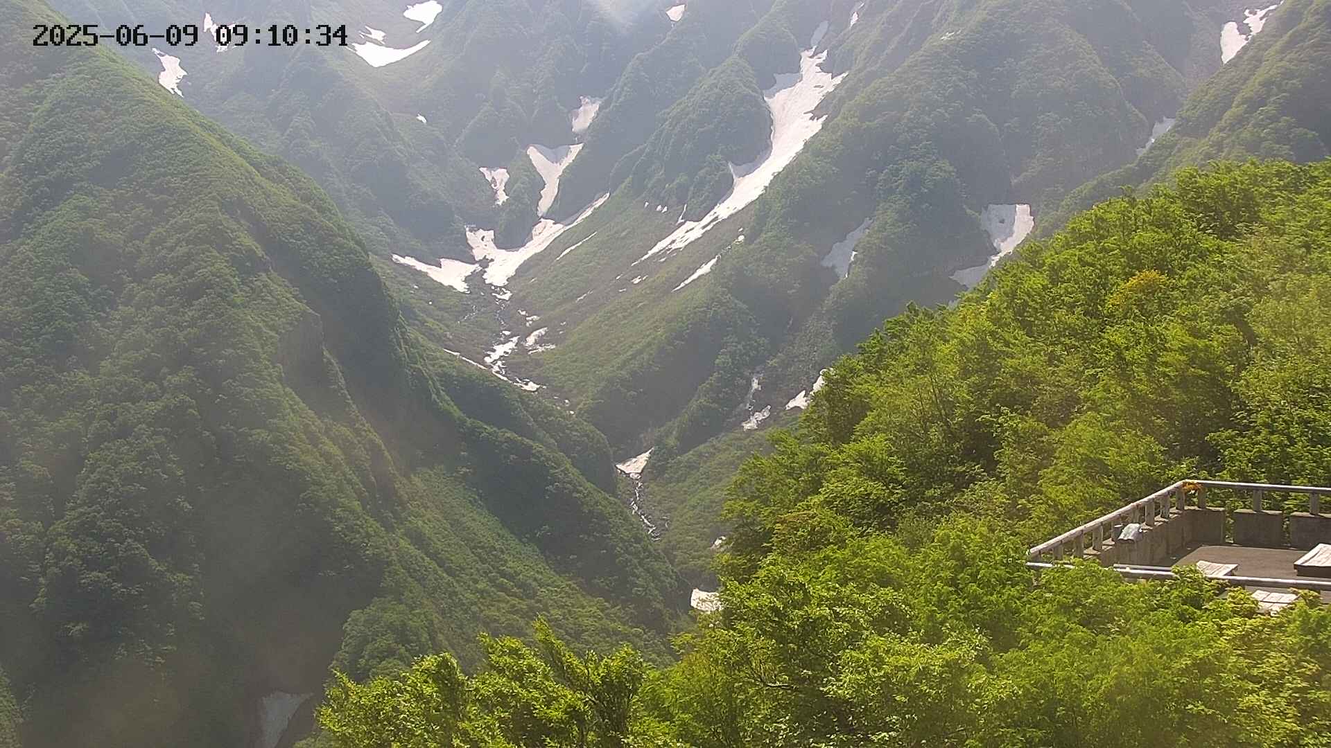 naso20250609091035.jpg