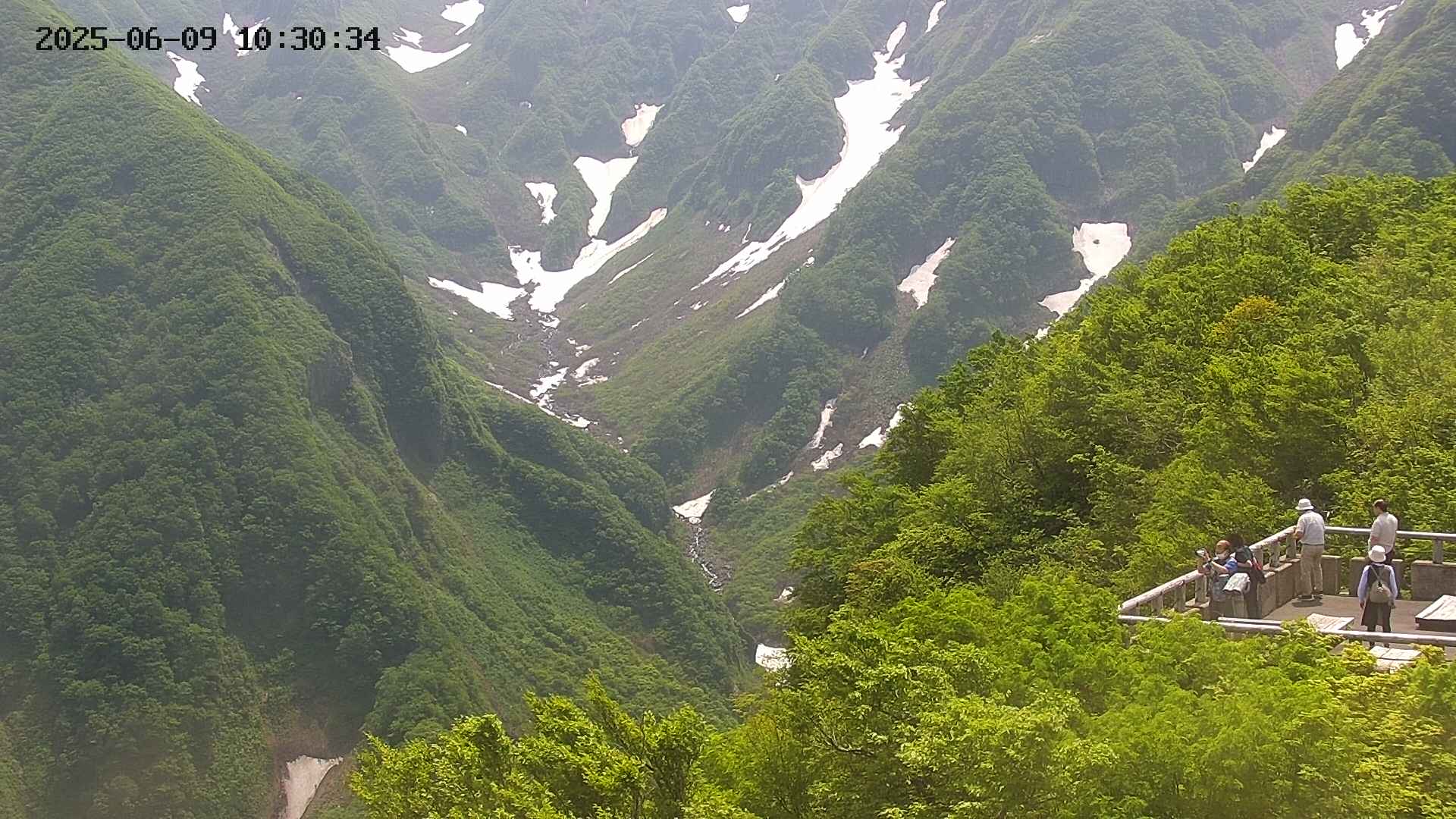naso20250609103035.jpg