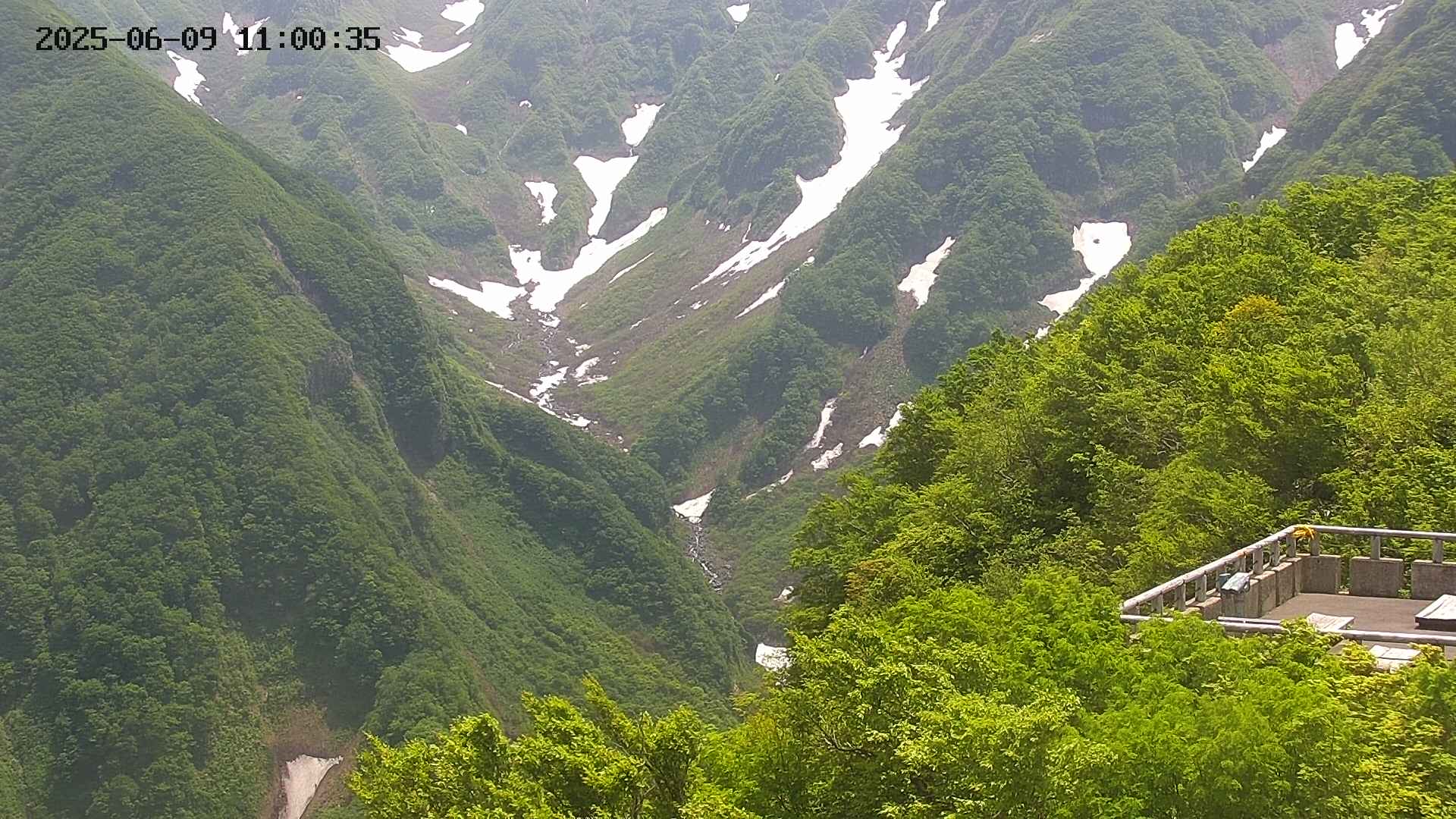naso20250609110037.jpg