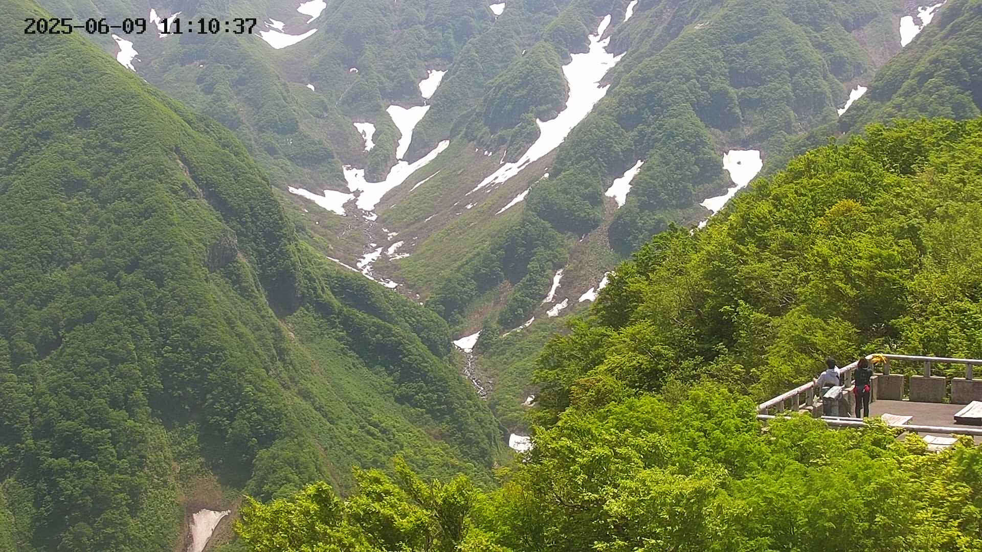 naso20250609111038.jpg
