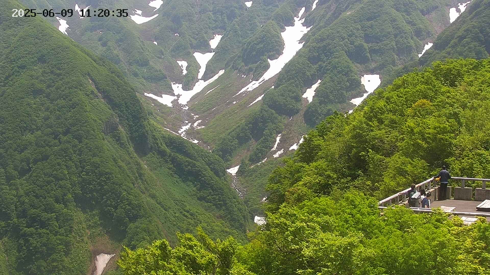 naso20250609112037.jpg