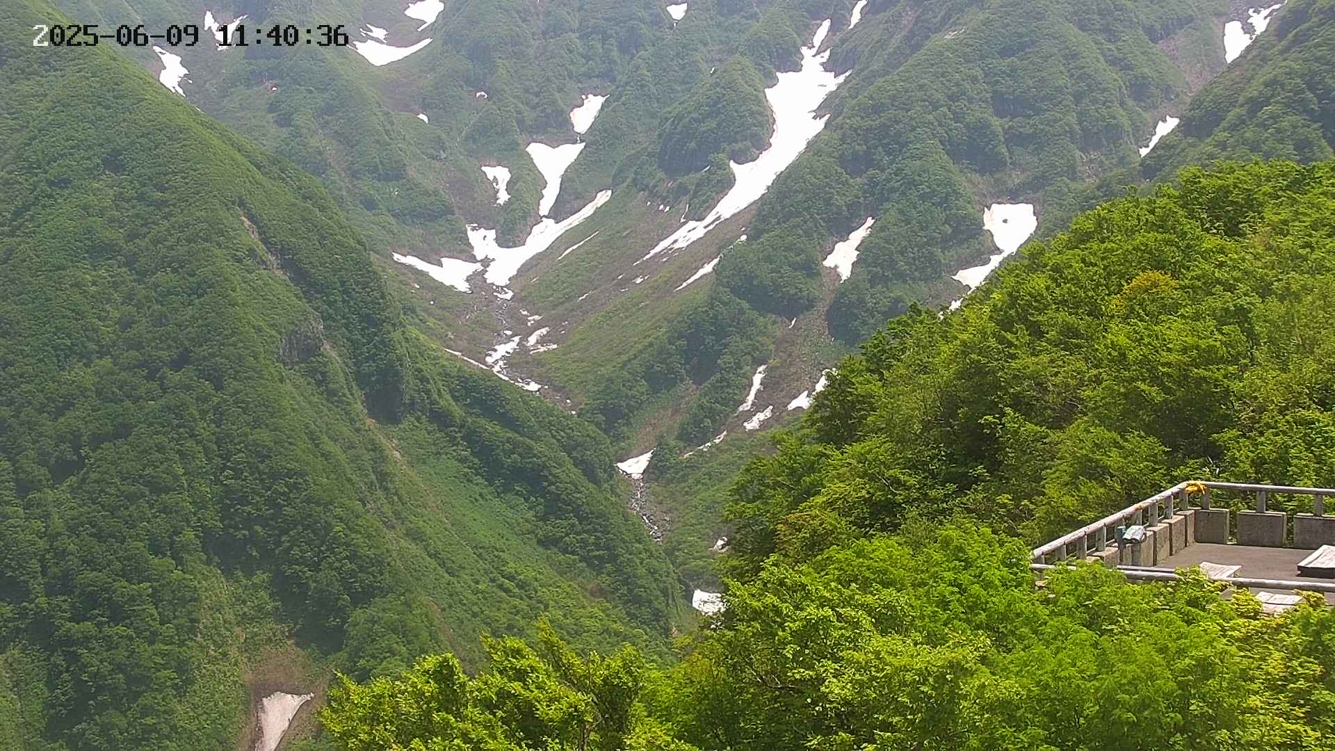 naso20250609114037.jpg