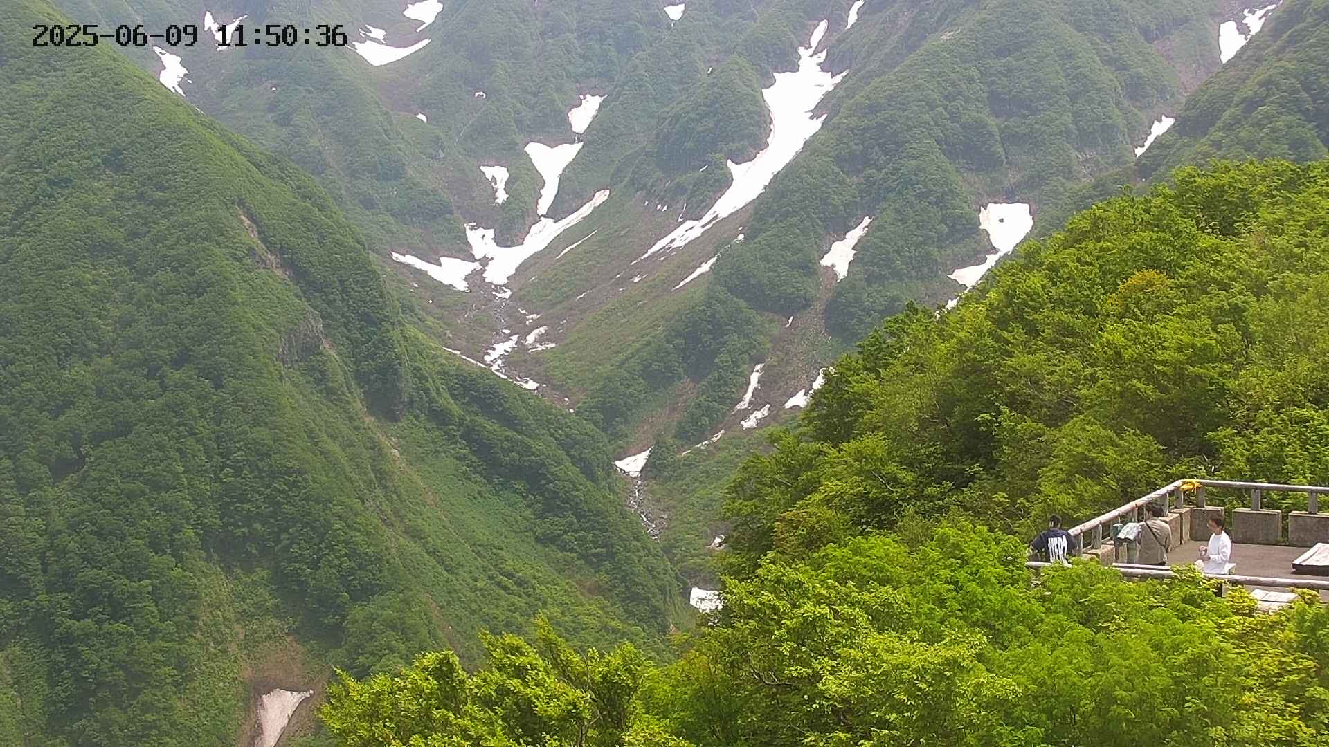 naso20250609115037.jpg