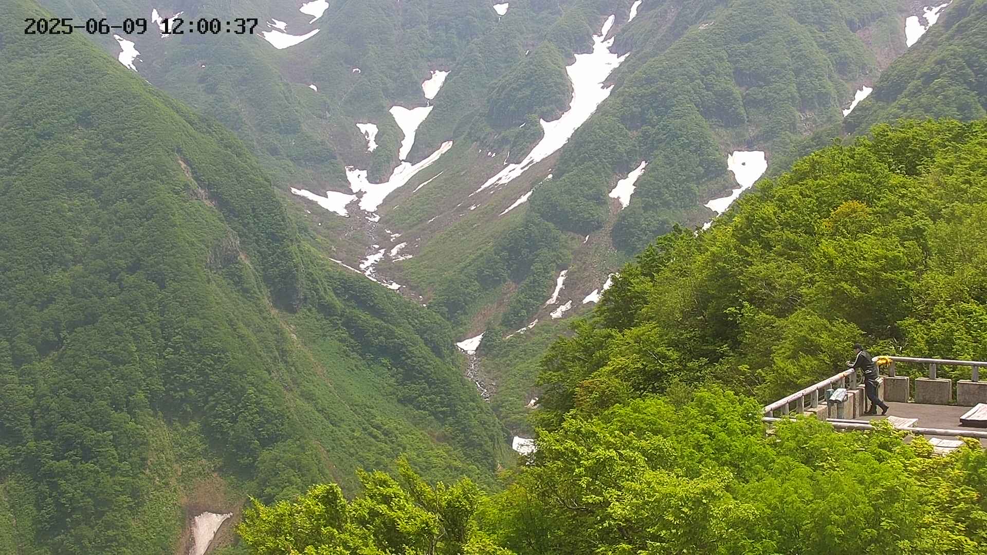 naso20250609120038.jpg