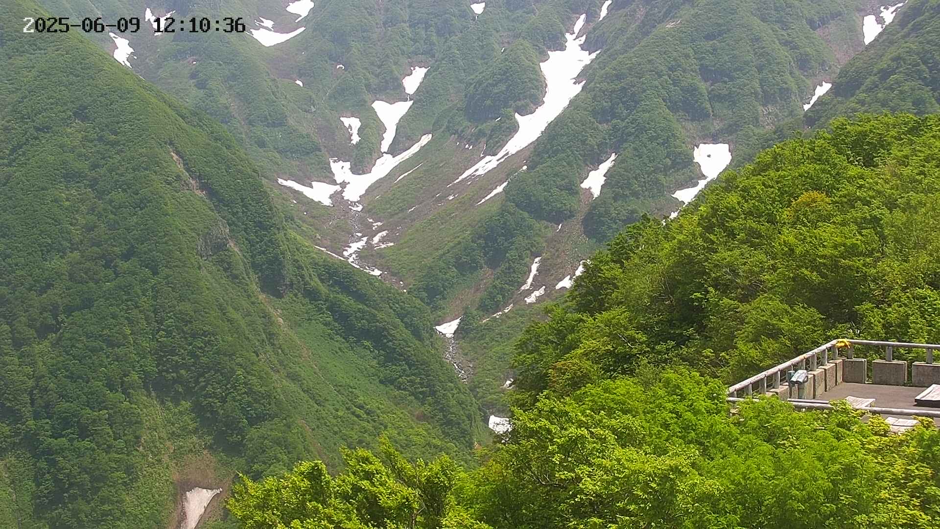 naso20250609121038.jpg