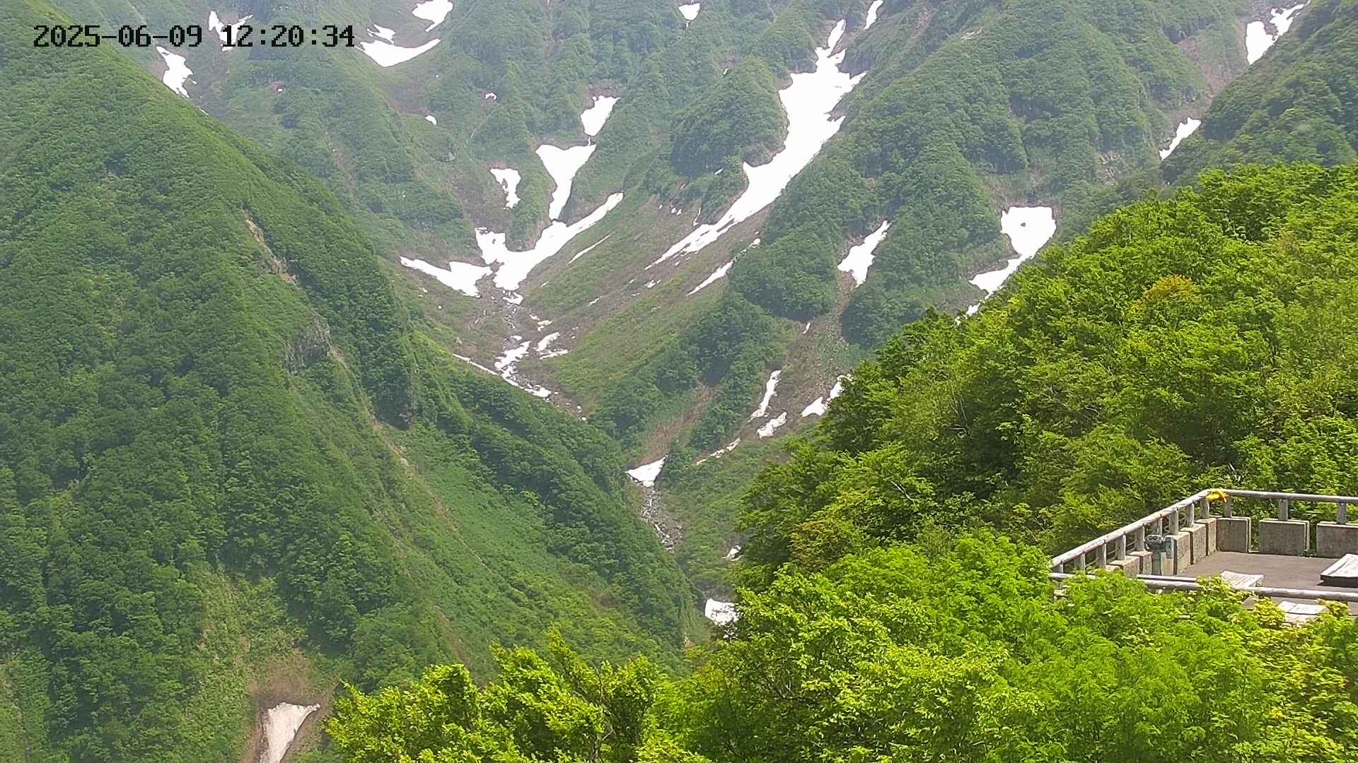 naso20250609122035.jpg
