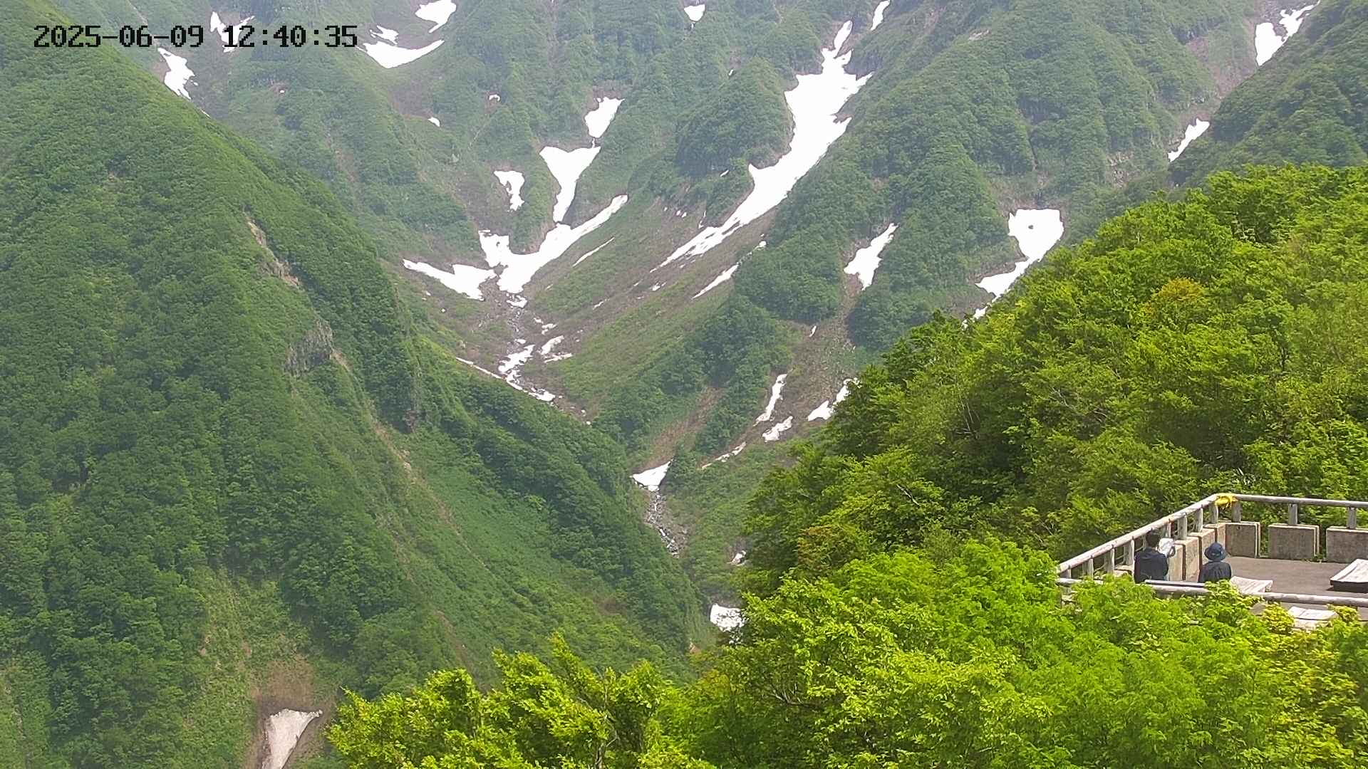 naso20250609124037.jpg