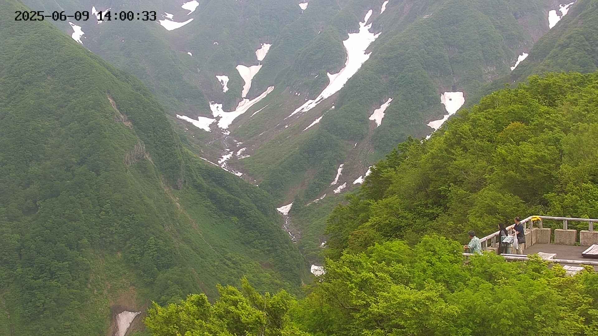 naso20250609140034.jpg