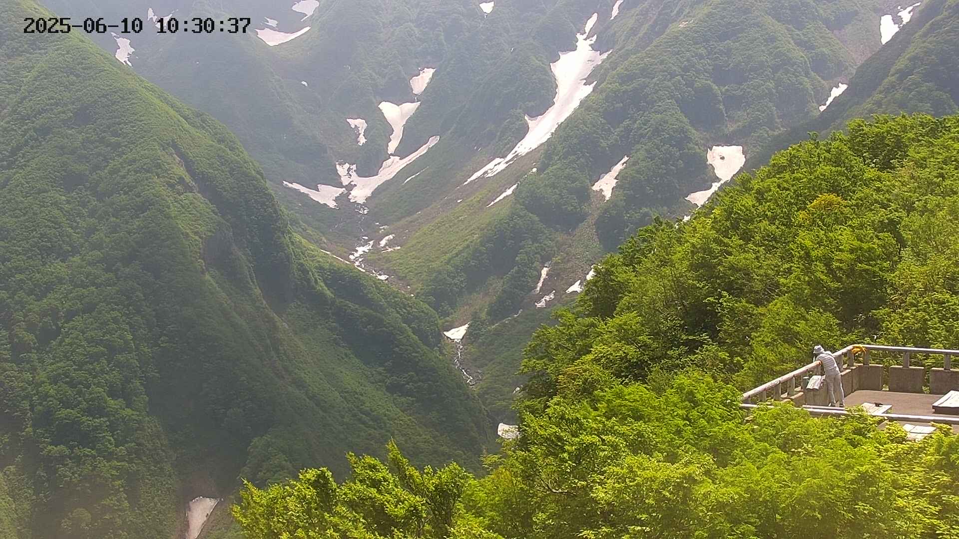 naso20250610103038.jpg