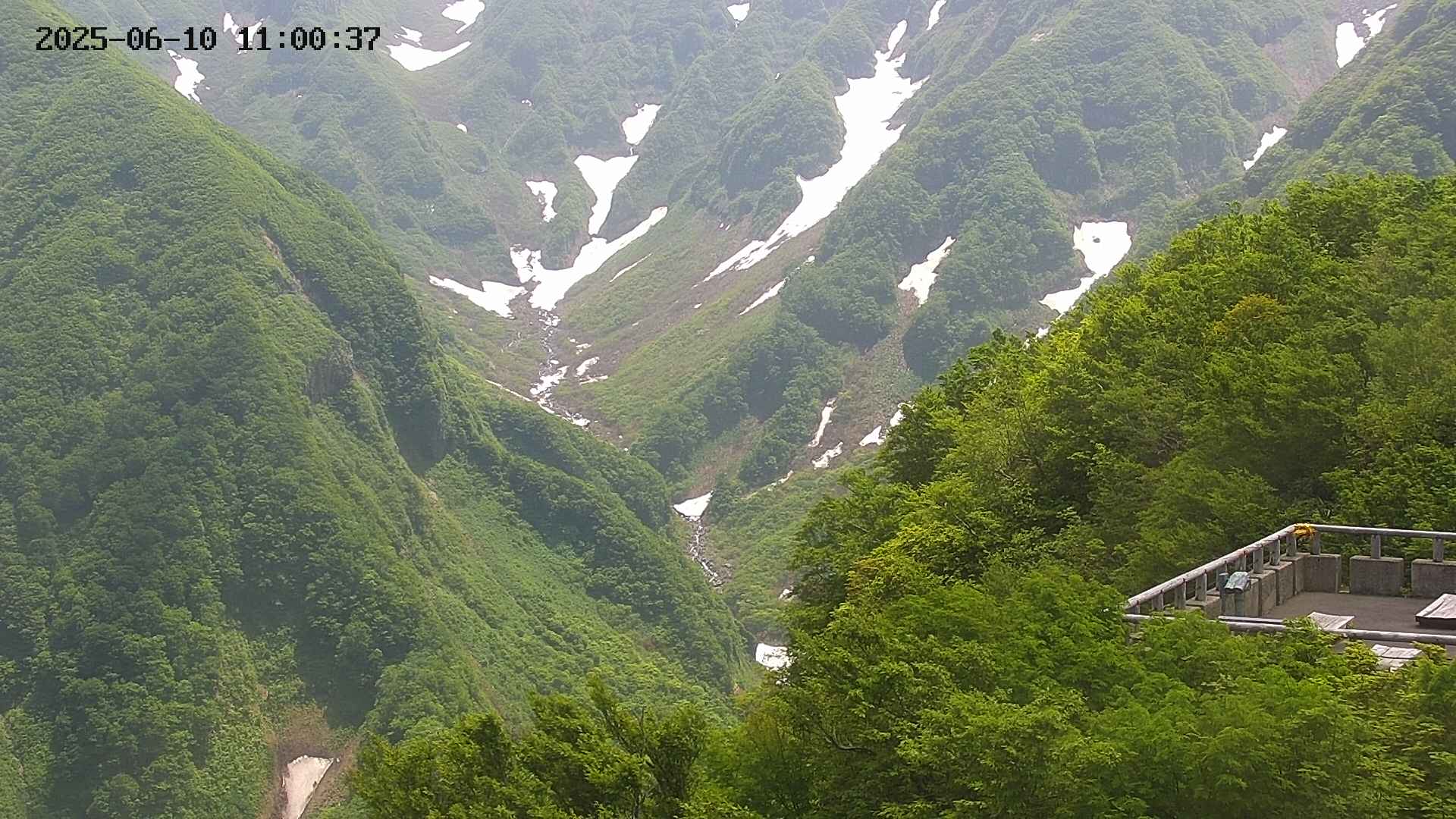 naso20250610110037.jpg