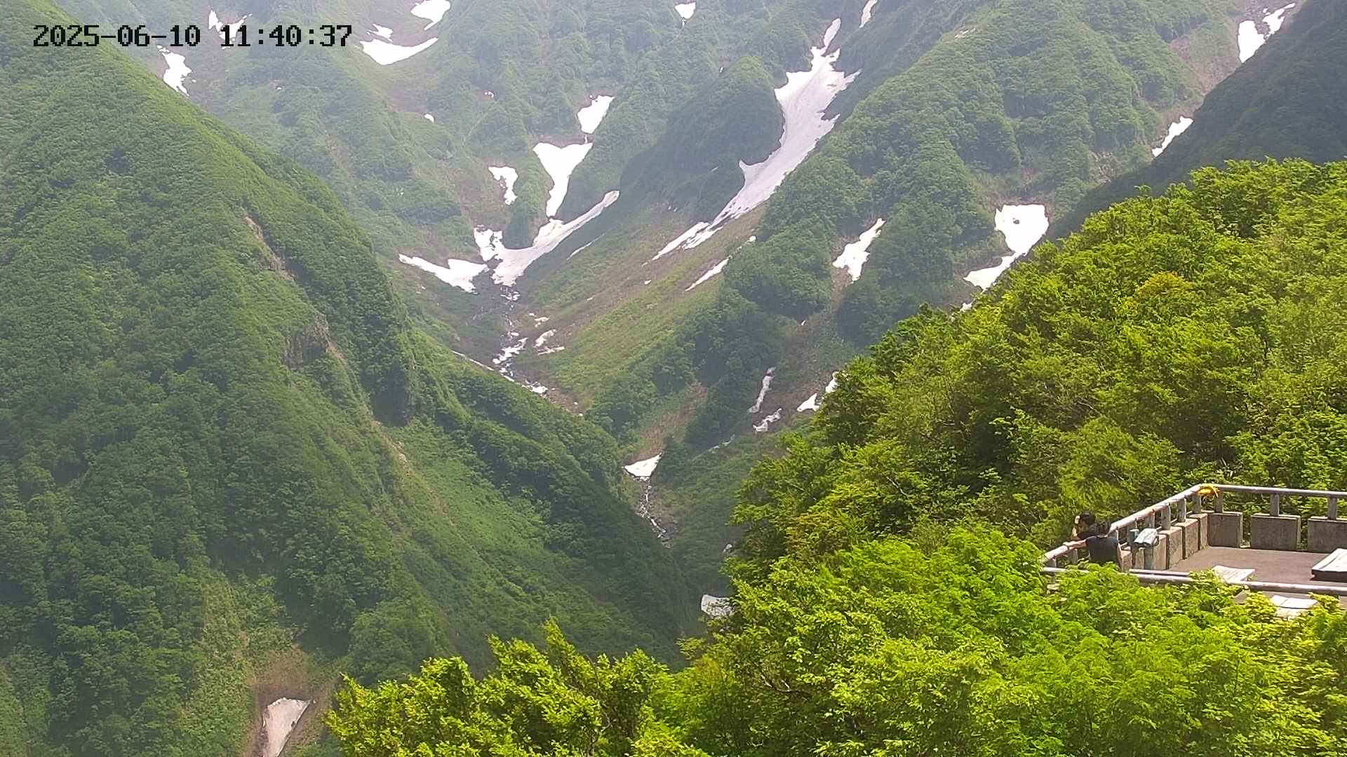 naso20250610114037.jpg