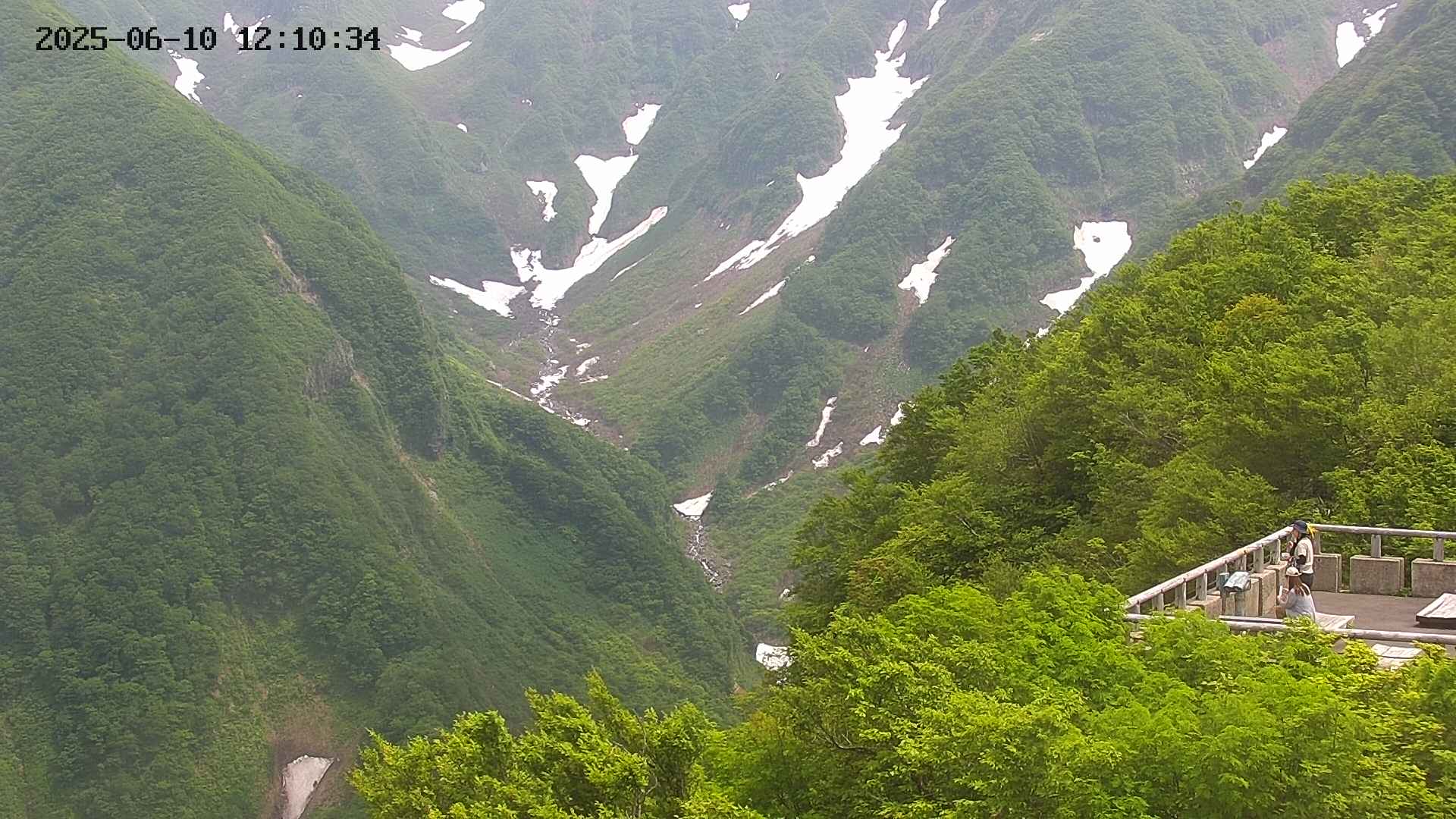 naso20250610121035.jpg