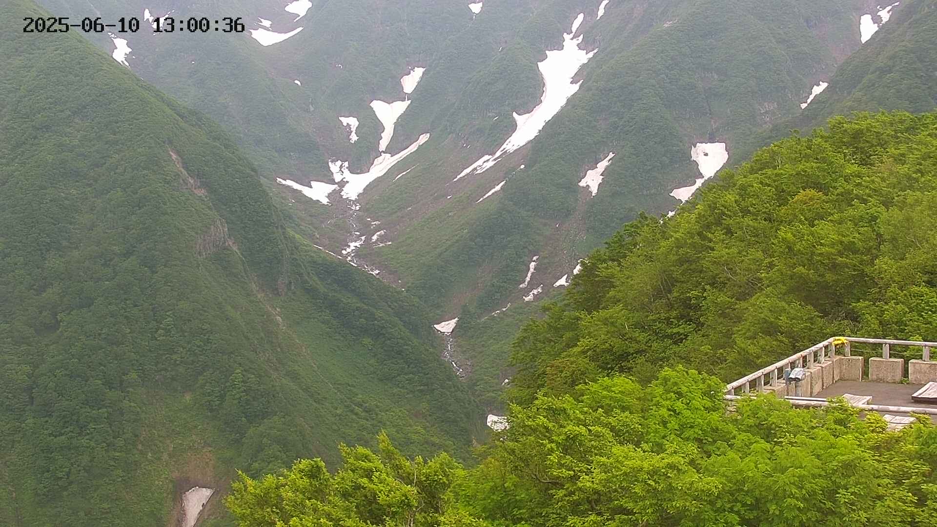 naso20250610130036.jpg