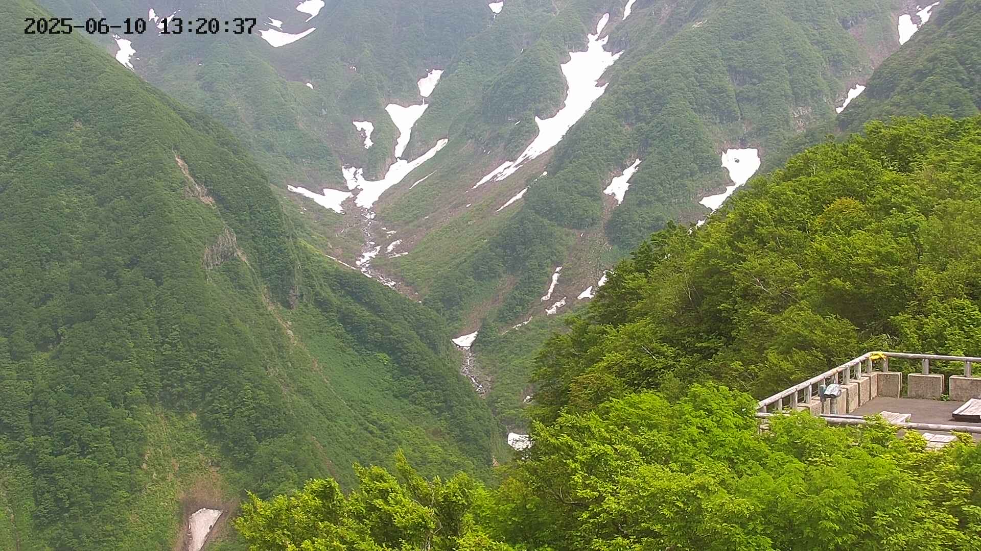 naso20250610132038.jpg
