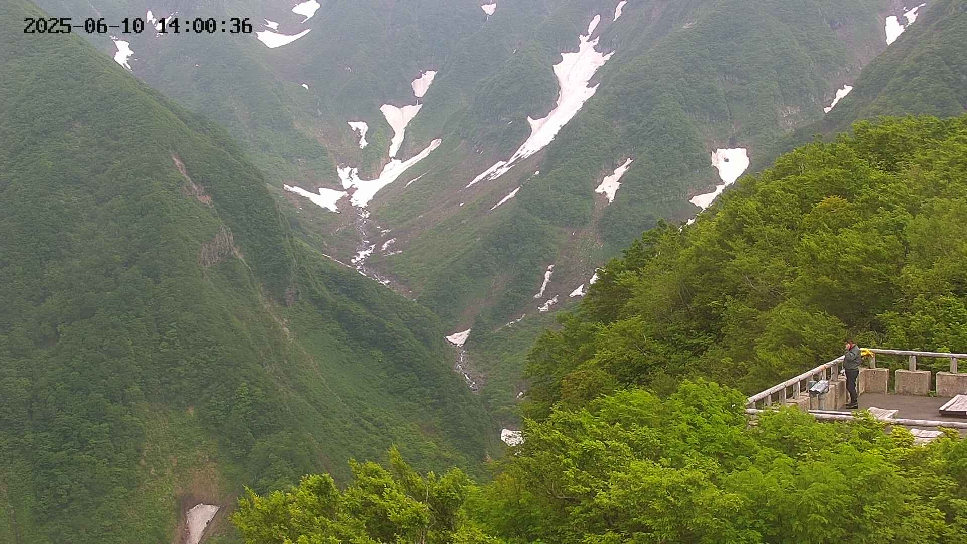 naso20250610140036.jpg