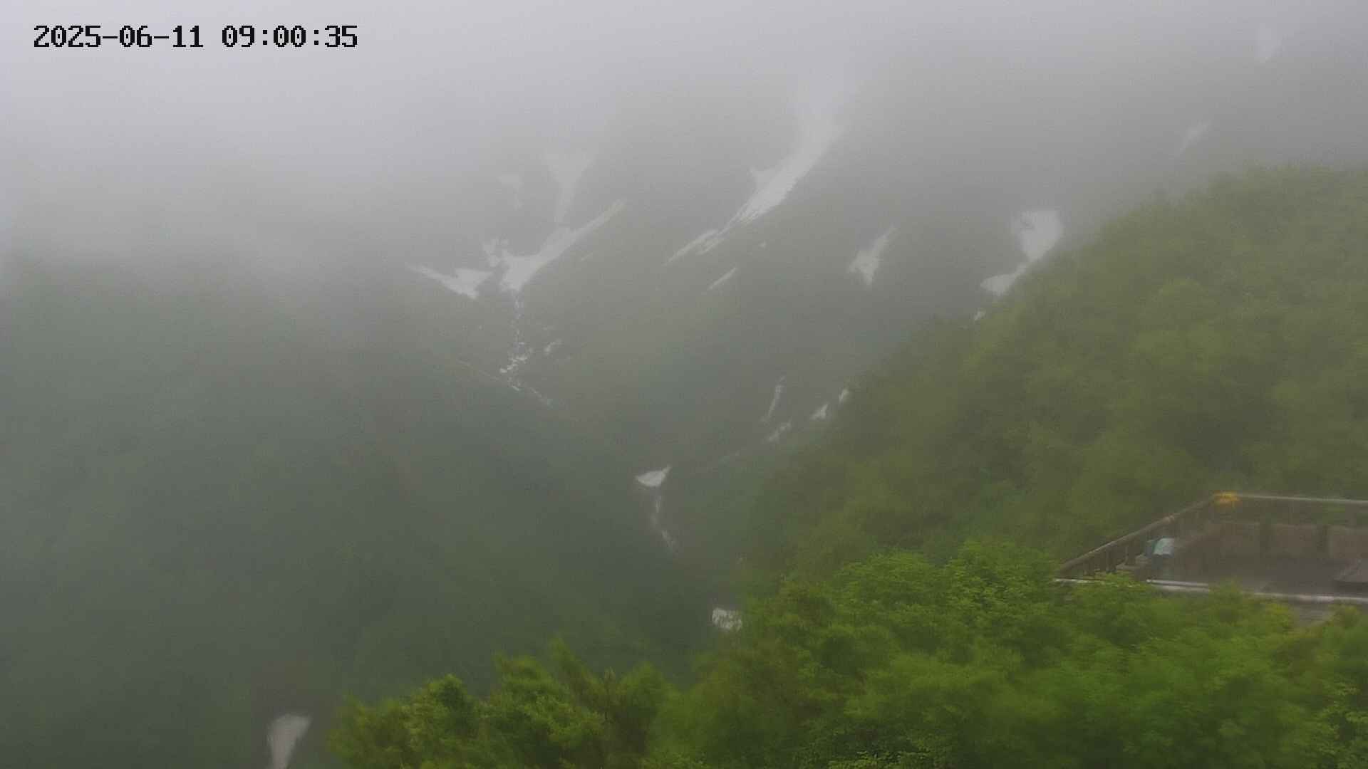 naso20250611090036.jpg