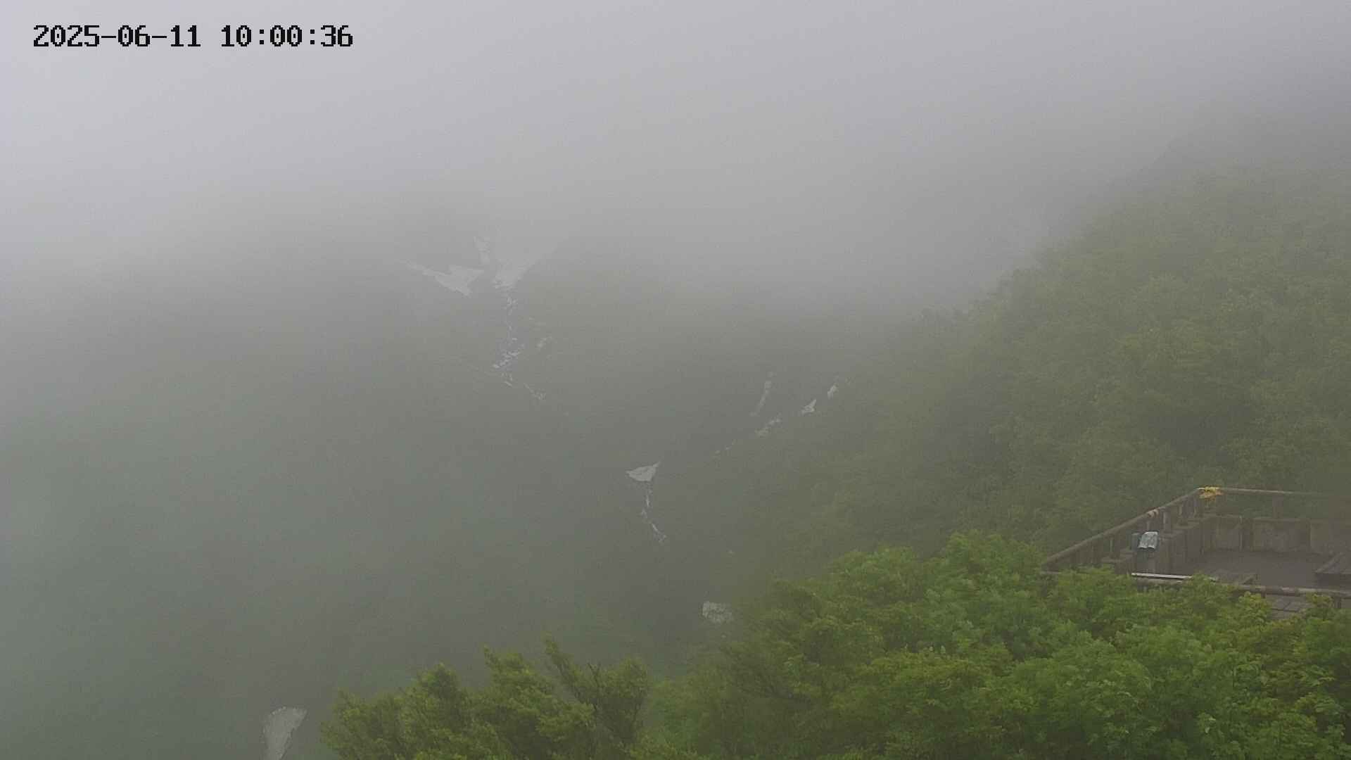 naso20250611100036.jpg