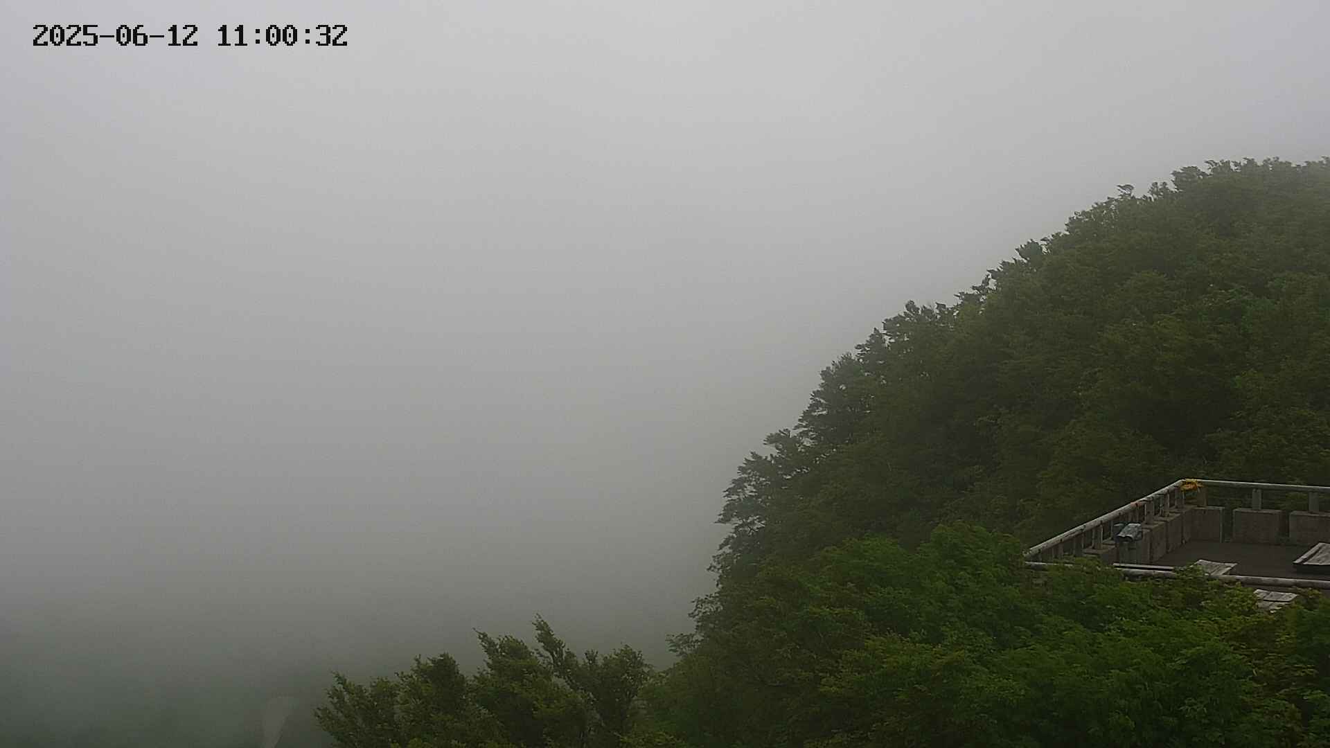 naso20250612110035.jpg
