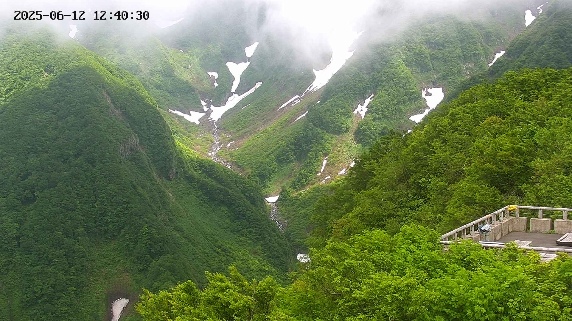 naso20250612124036.jpg