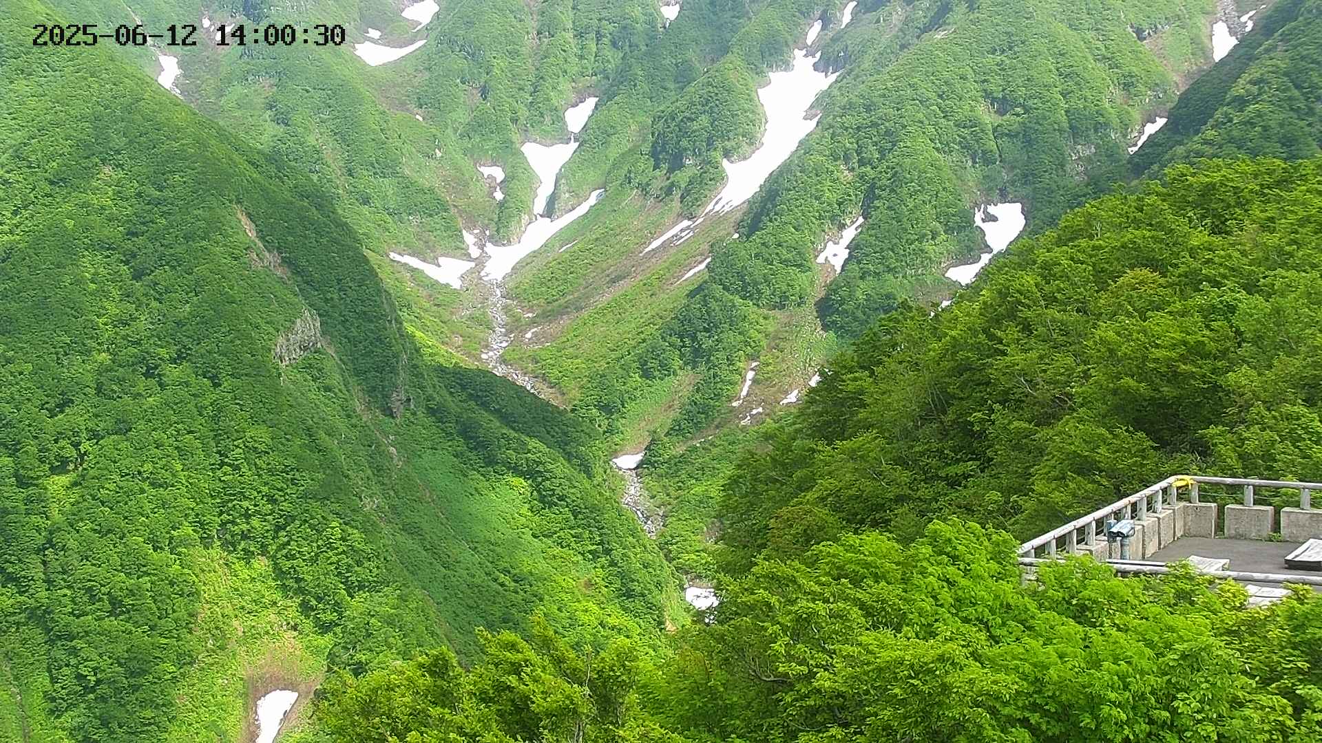 naso20250612140037.jpg