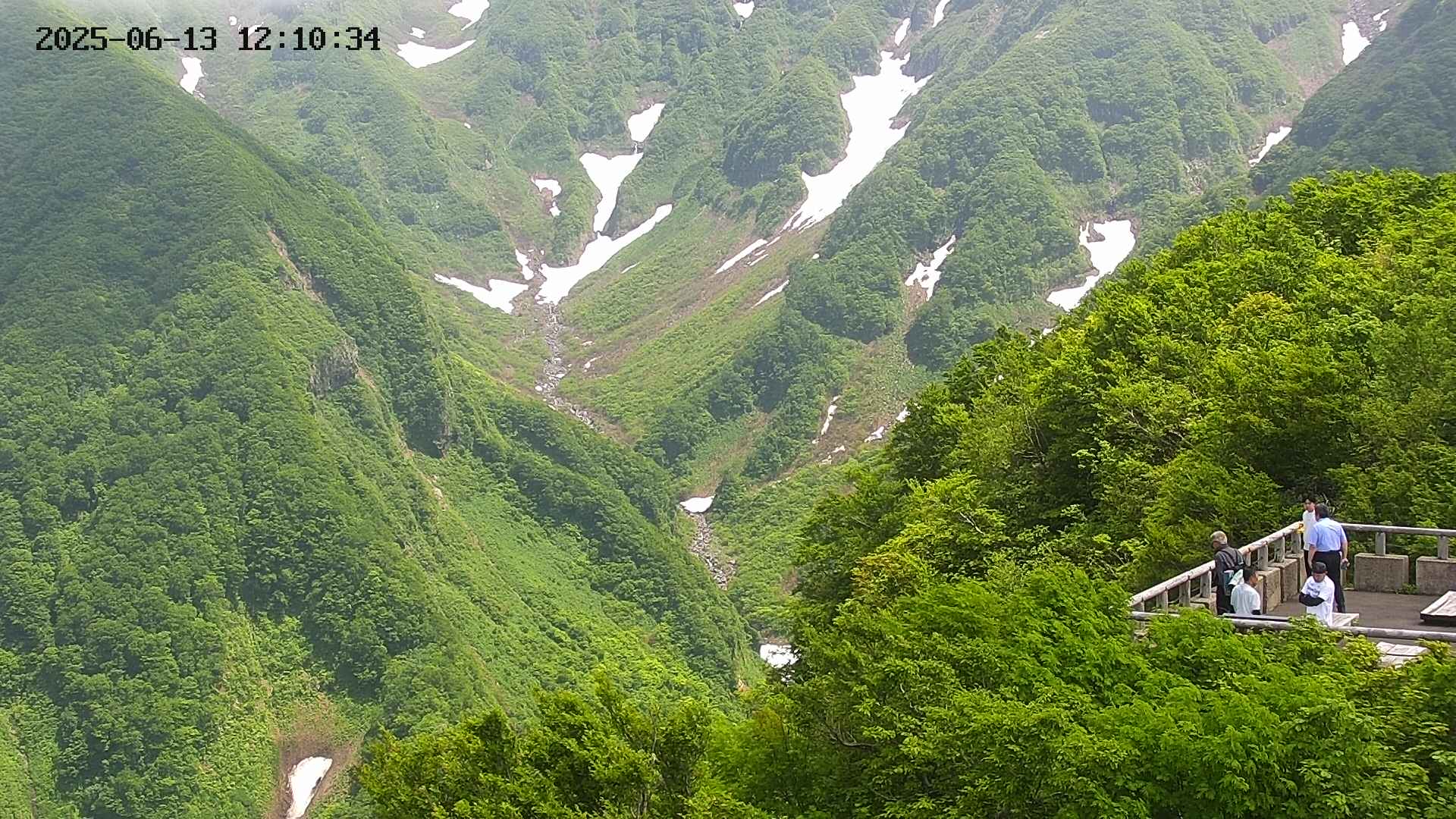 naso20250613121036.jpg