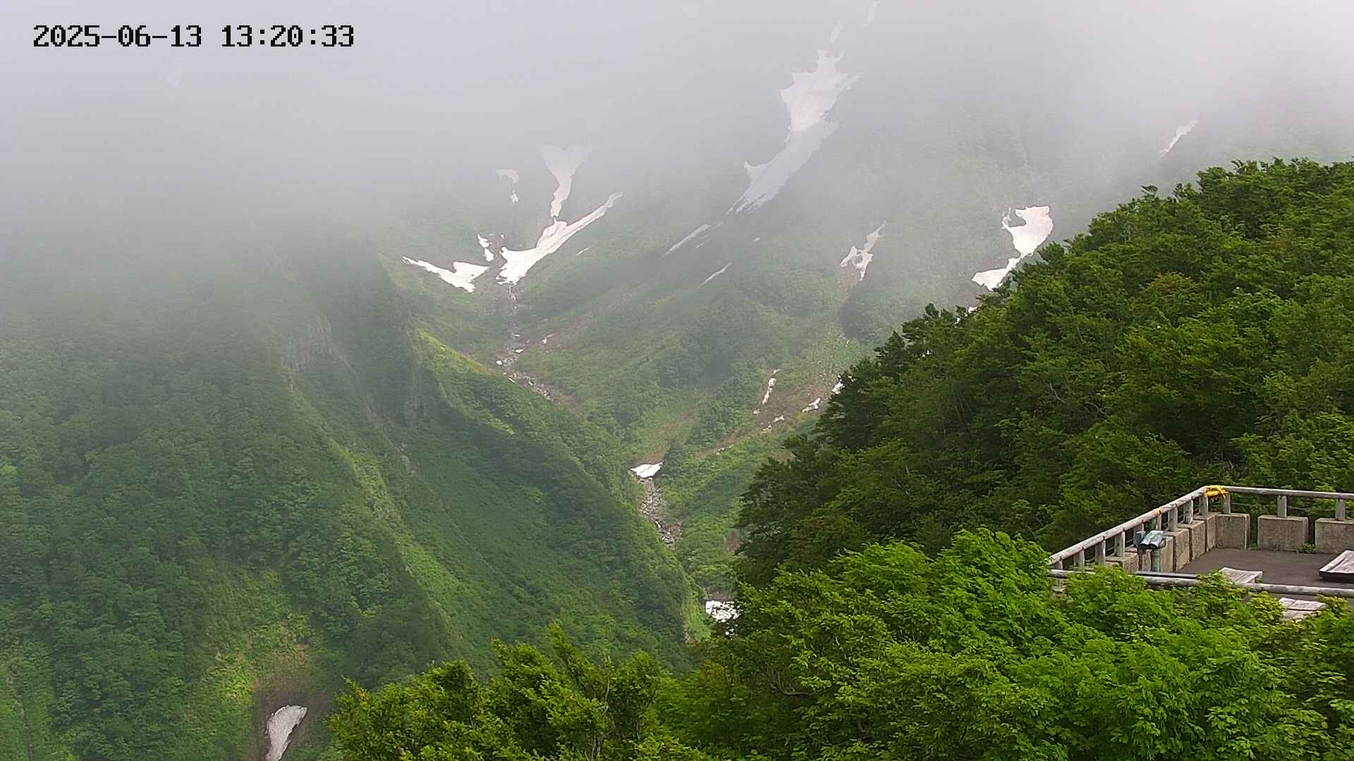 naso20250613132034.jpg