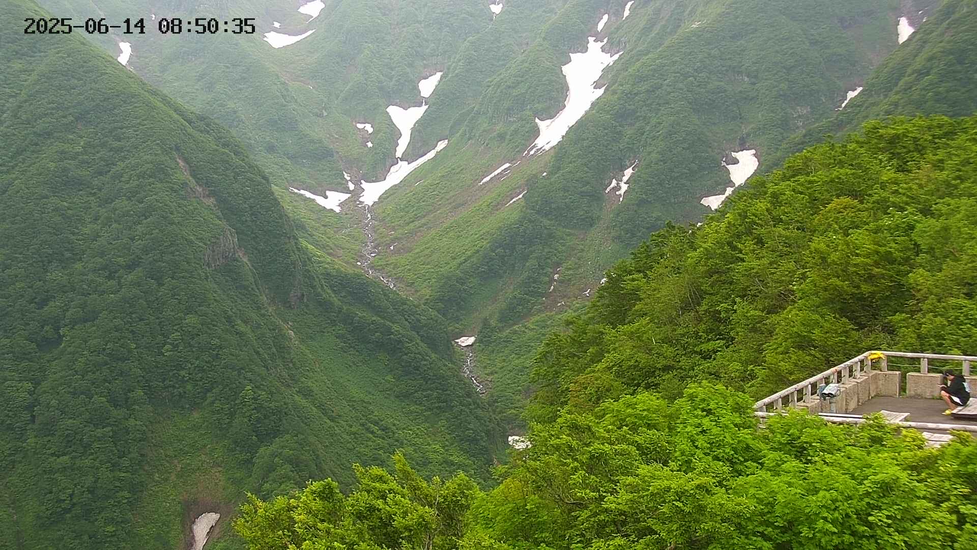 naso20250614085036.jpg