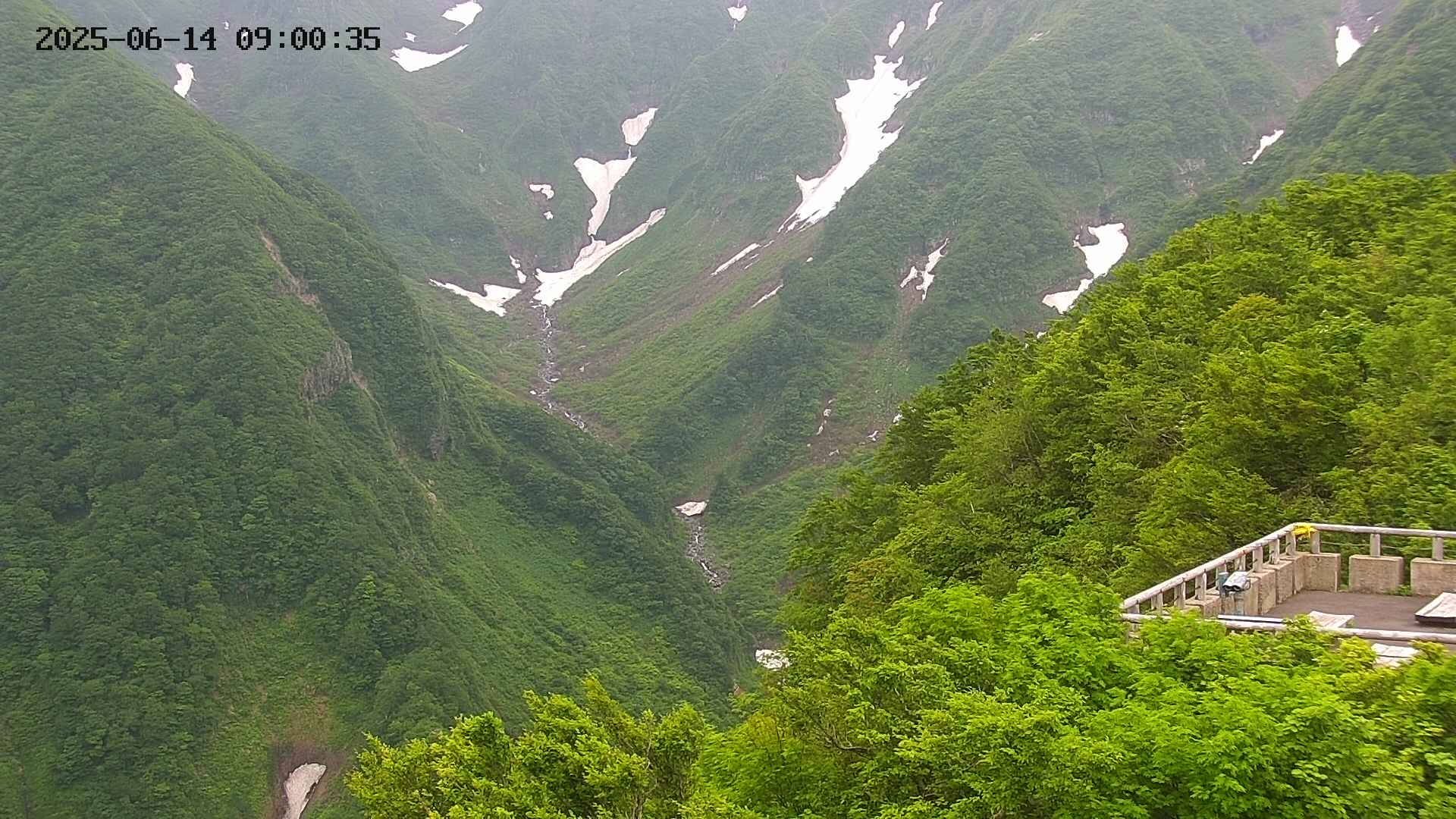 naso20250614090036.jpg