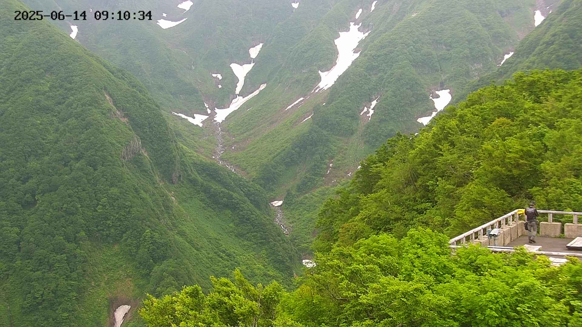 naso20250614091035.jpg
