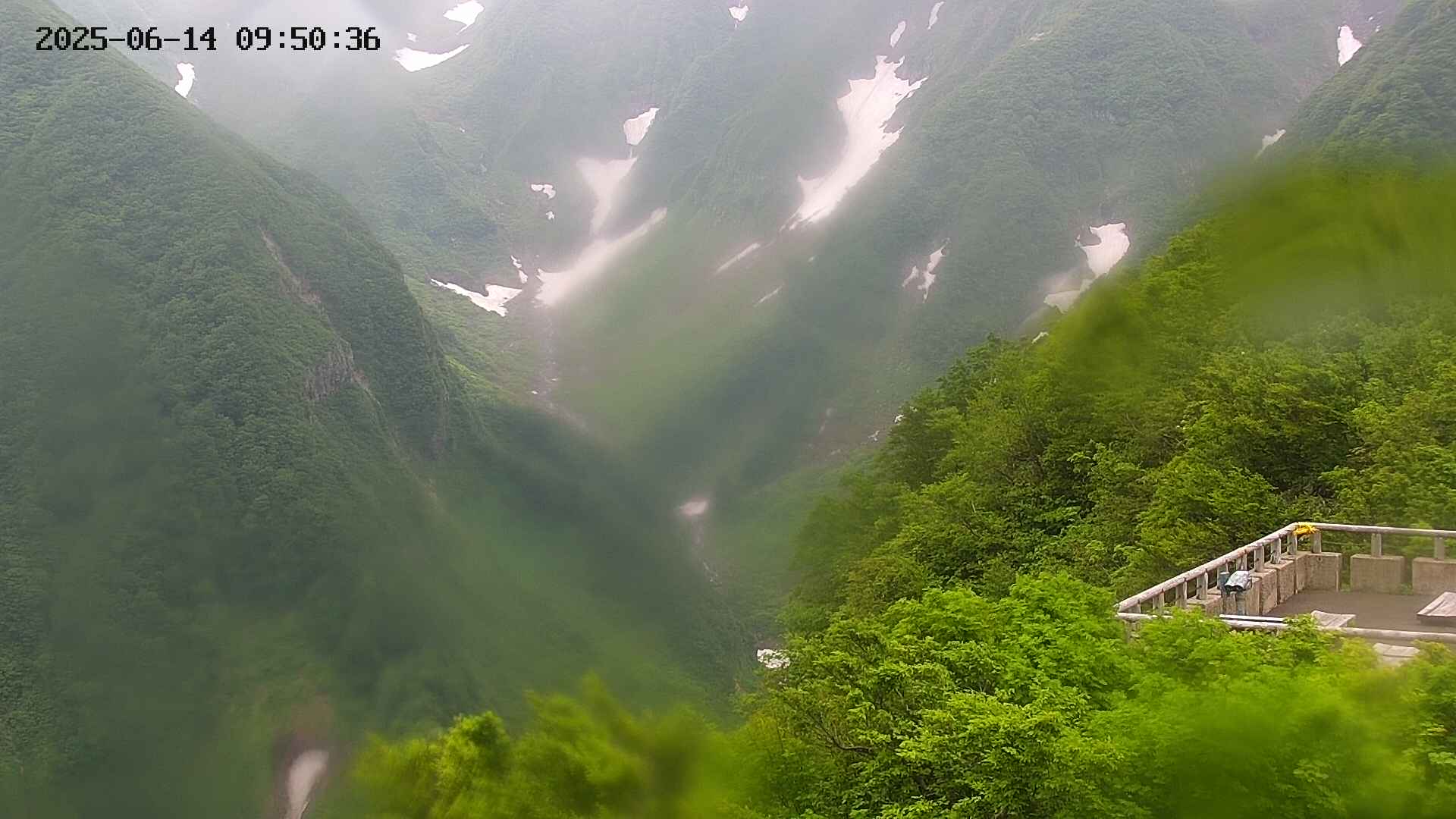 naso20250614095036.jpg