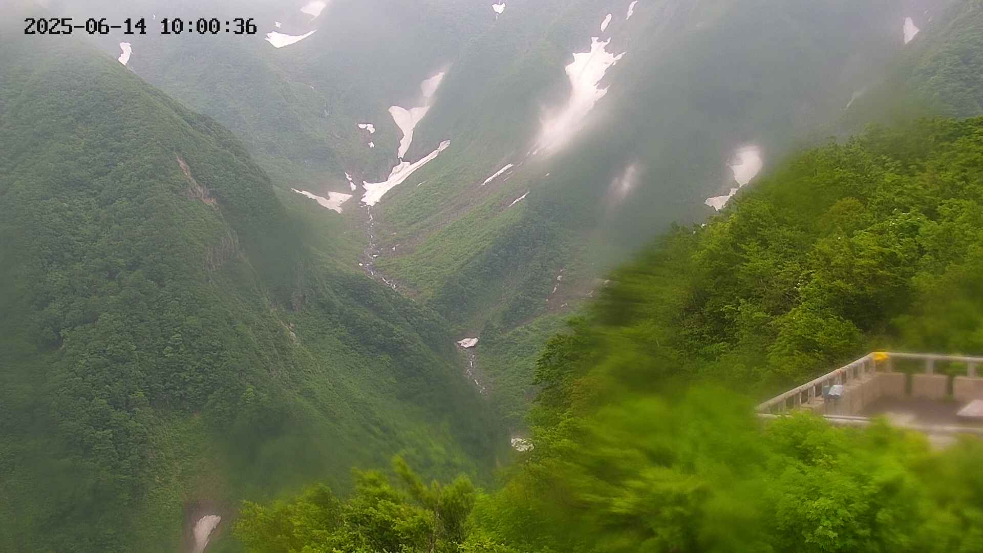 naso20250614100037.jpg