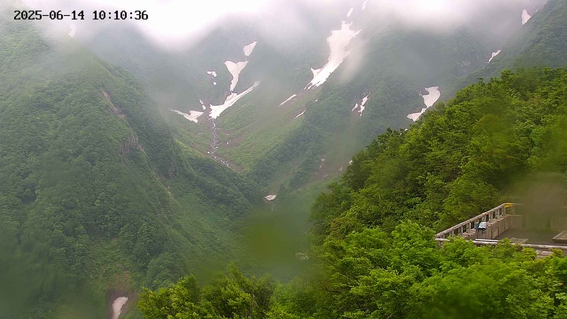 naso20250614101037.jpg