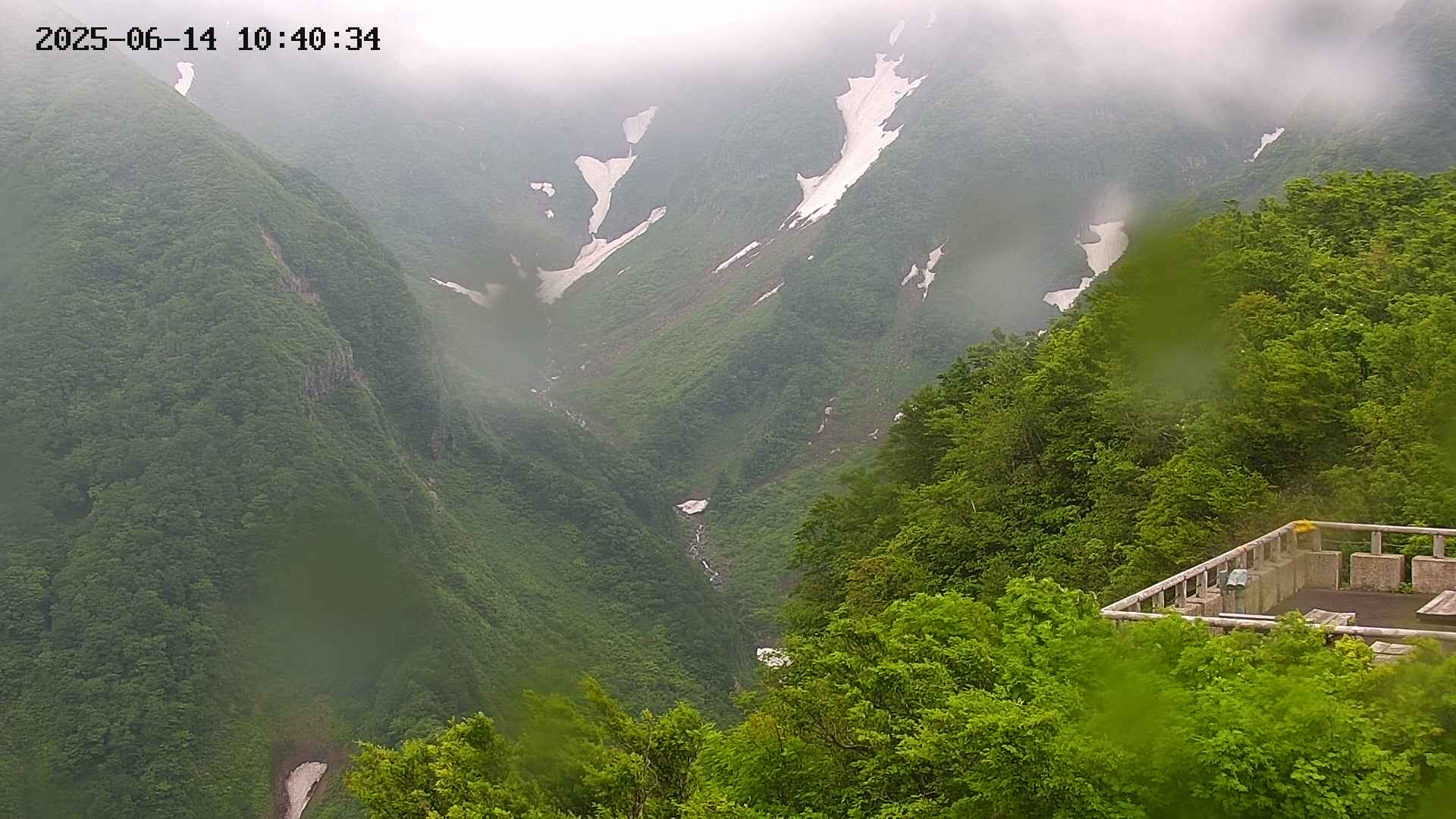 naso20250614104035.jpg