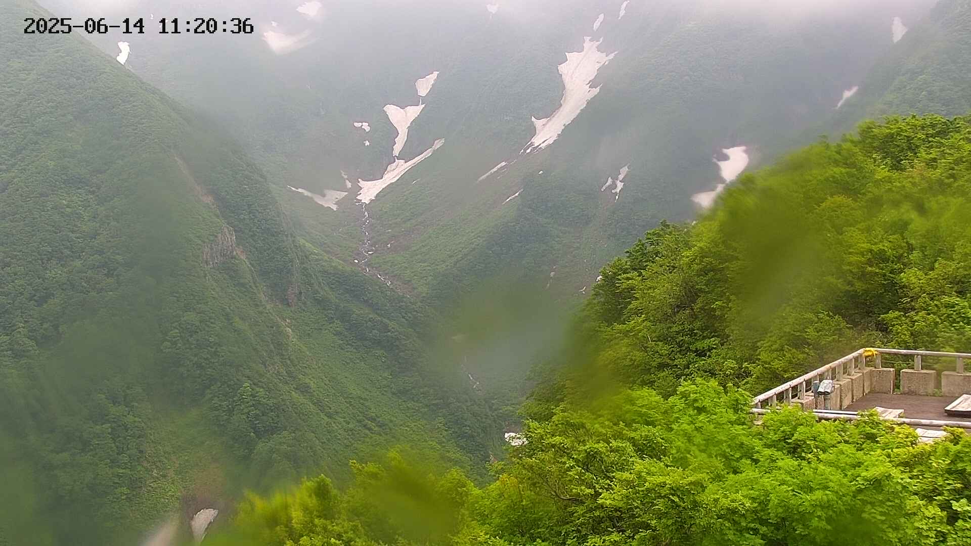 naso20250614112037.jpg
