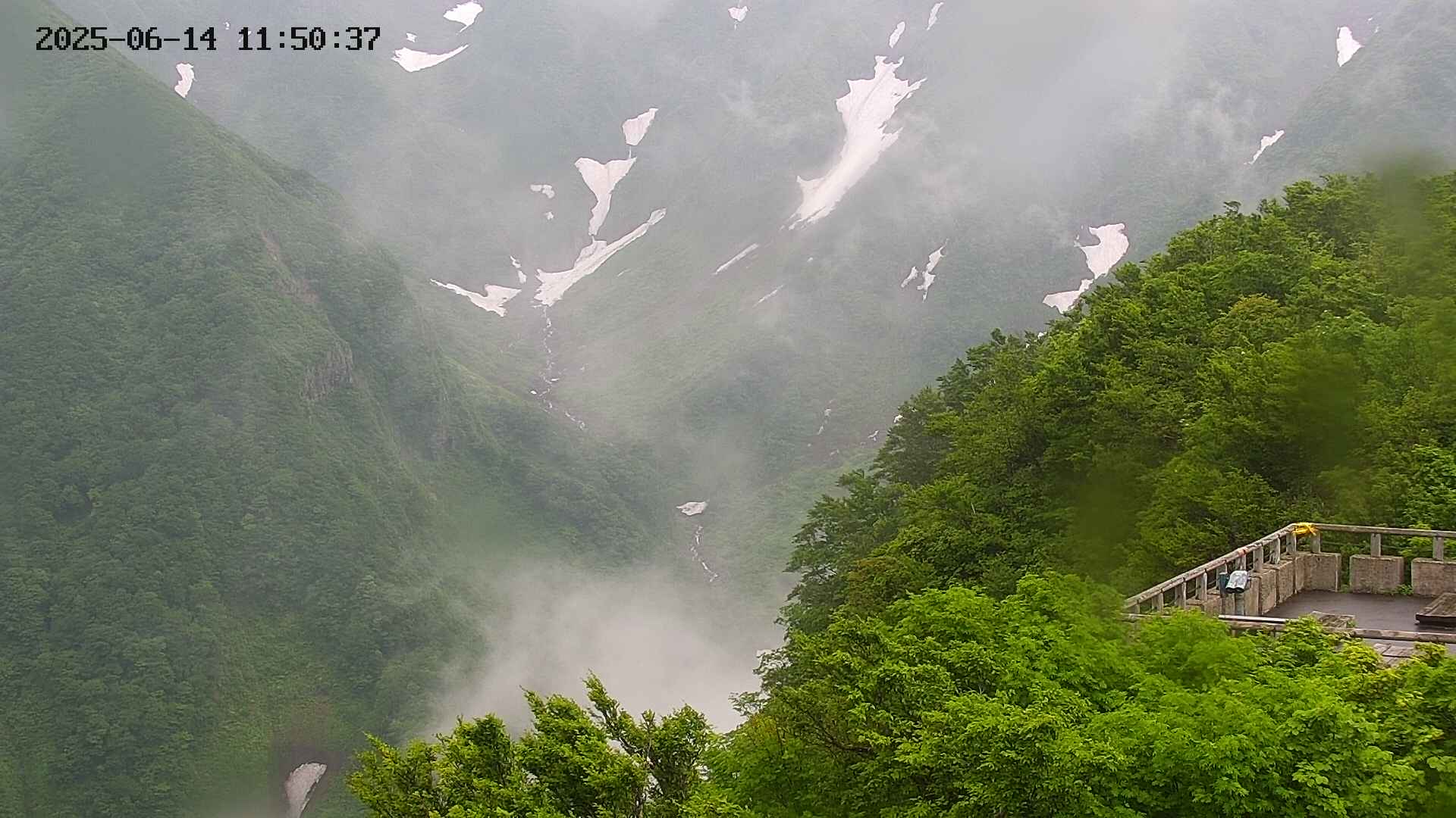 naso20250614115038.jpg