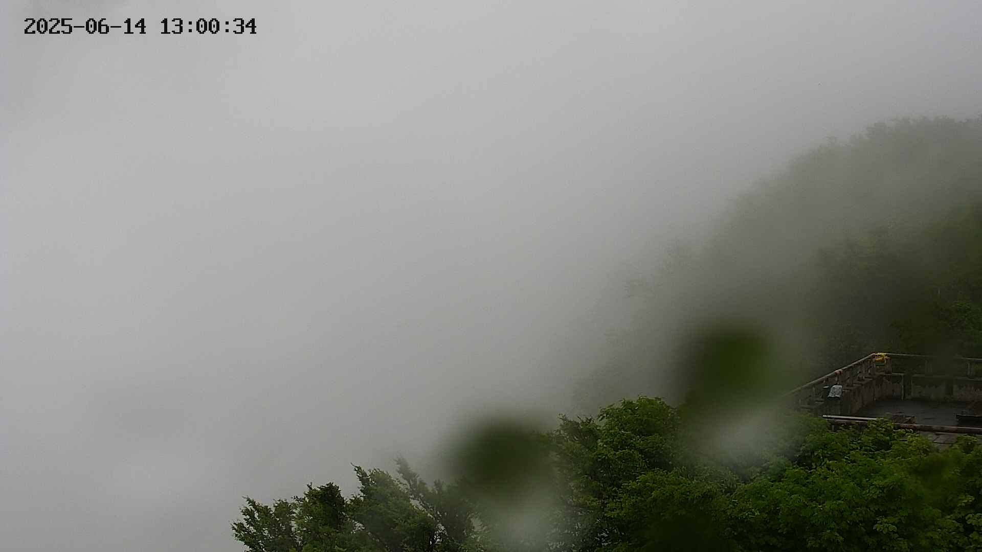 naso20250614130035.jpg