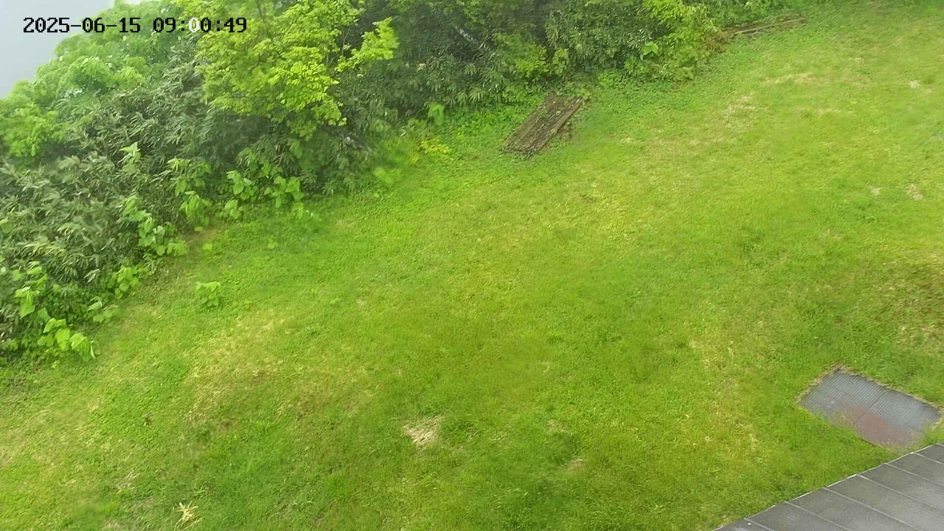 naso20250615090050.jpg