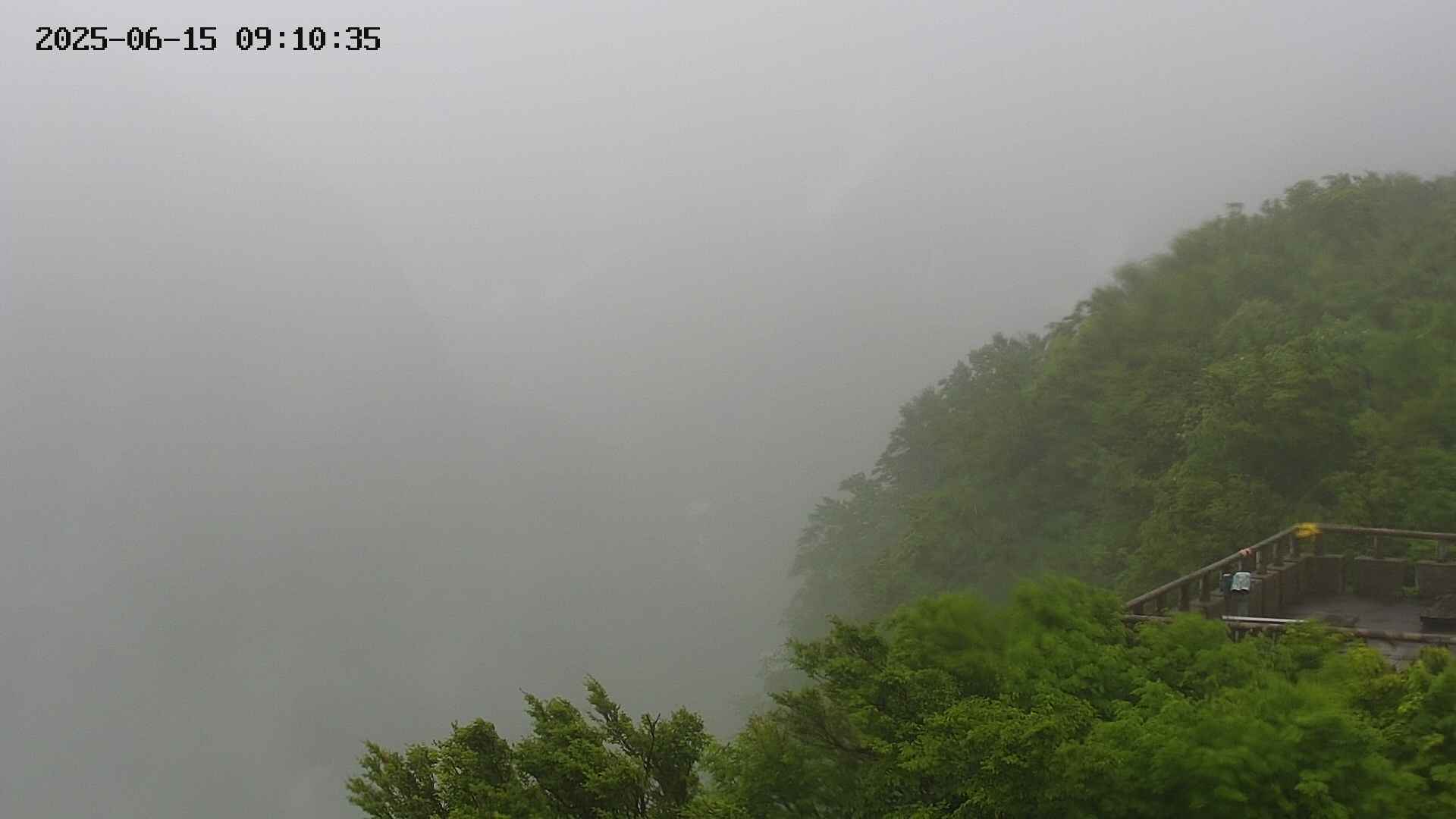naso20250615091036.jpg