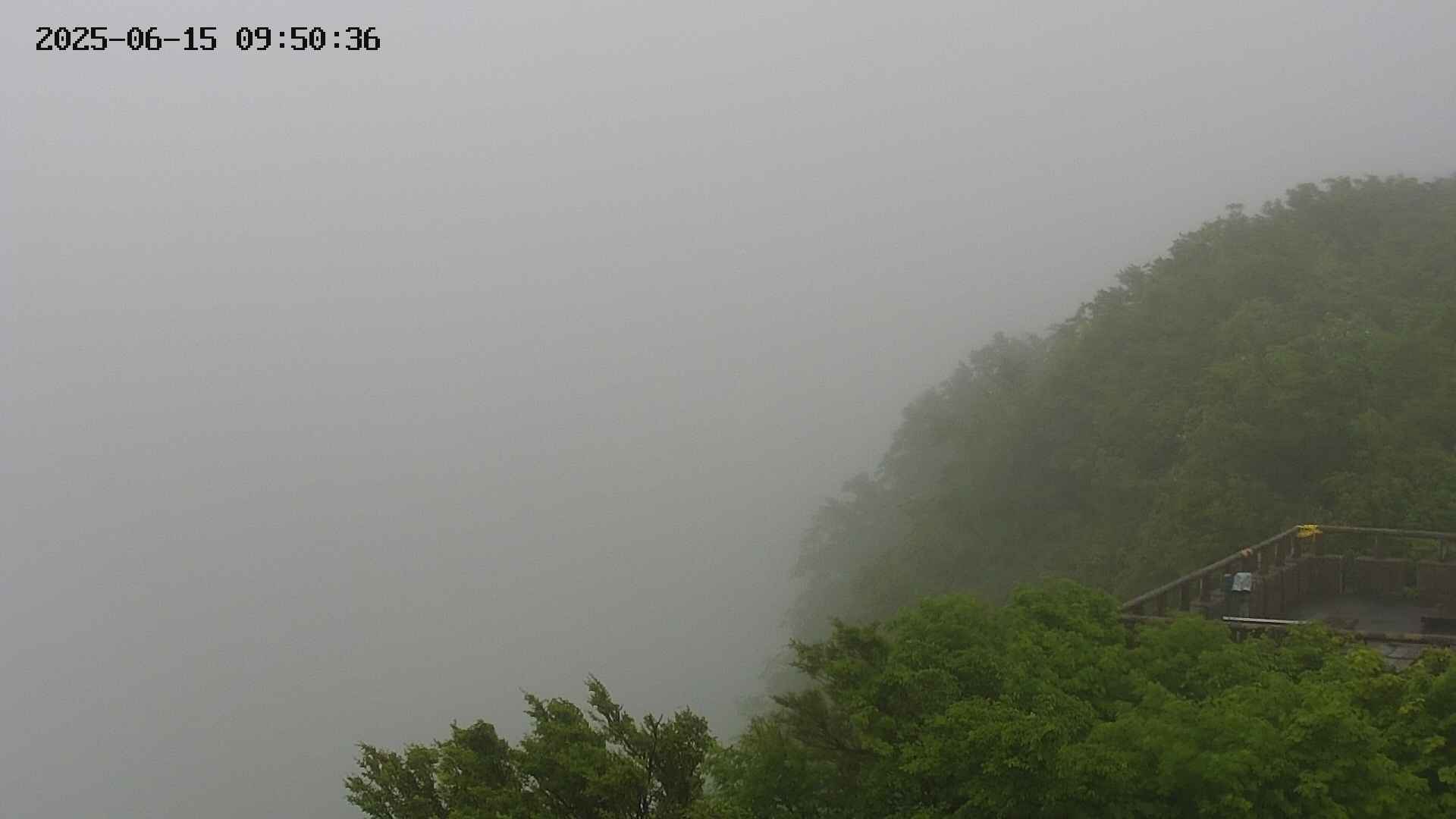 naso20250615095036.jpg