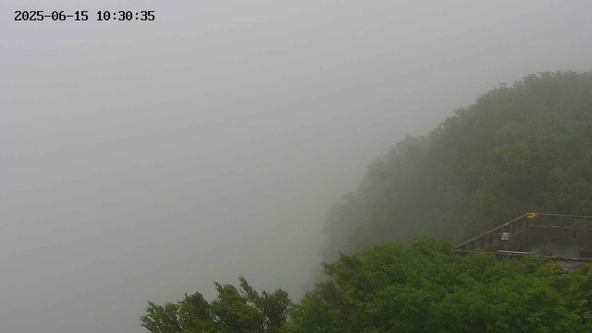 naso20250615103035.jpg