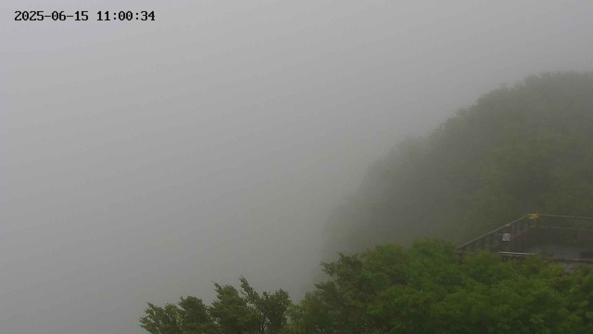 naso20250615110034.jpg