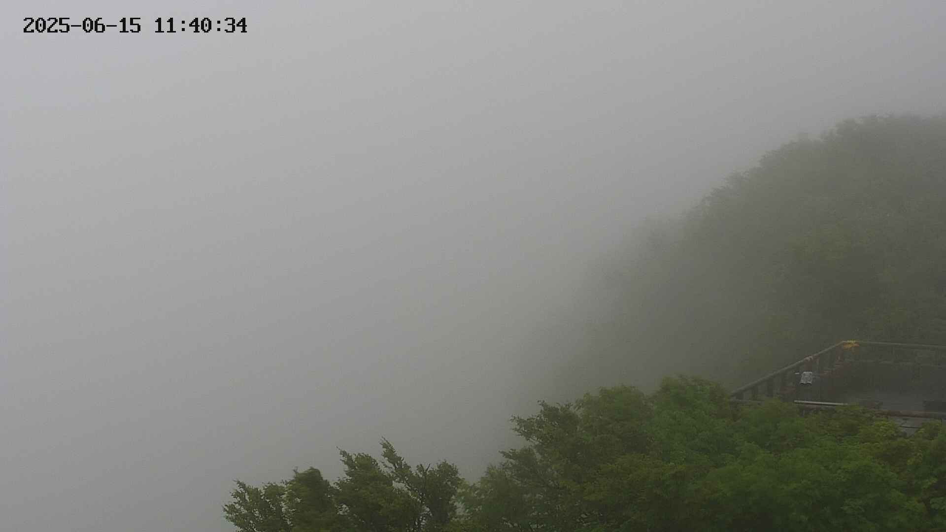naso20250615114034.jpg