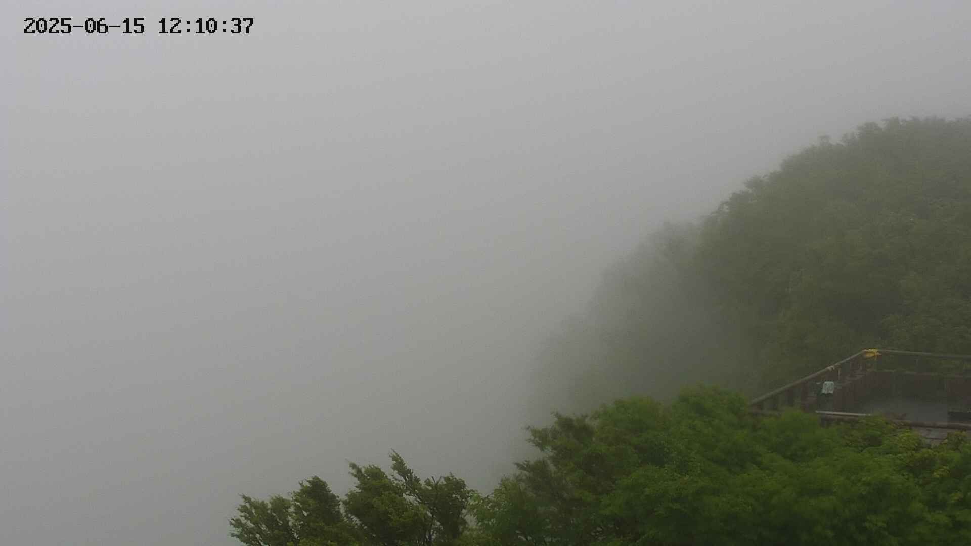 naso20250615121037.jpg
