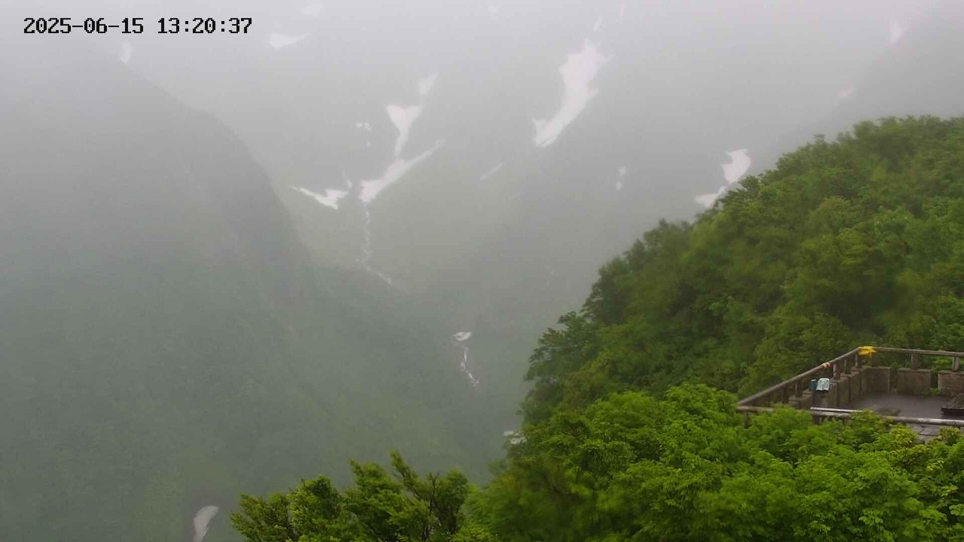 naso20250615132037.jpg