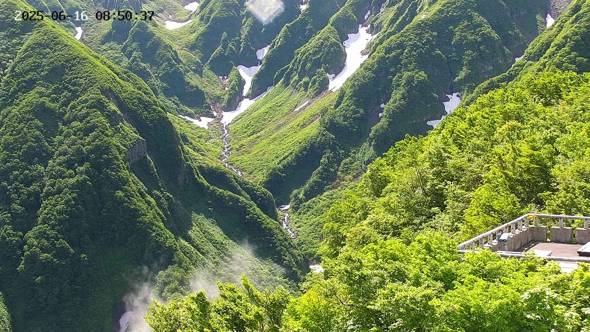 naso20250616085038.jpg
