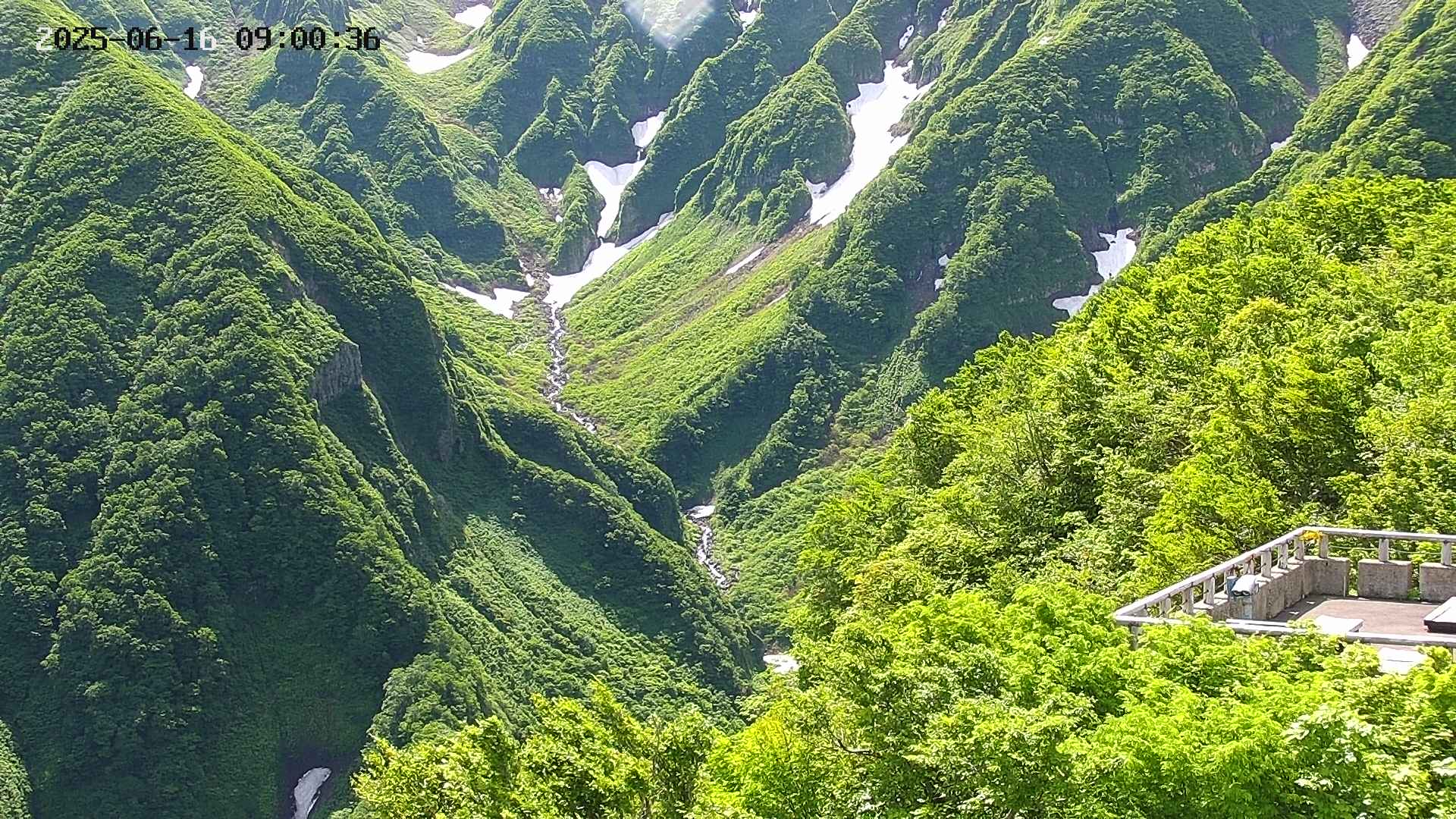 naso20250616090037.jpg