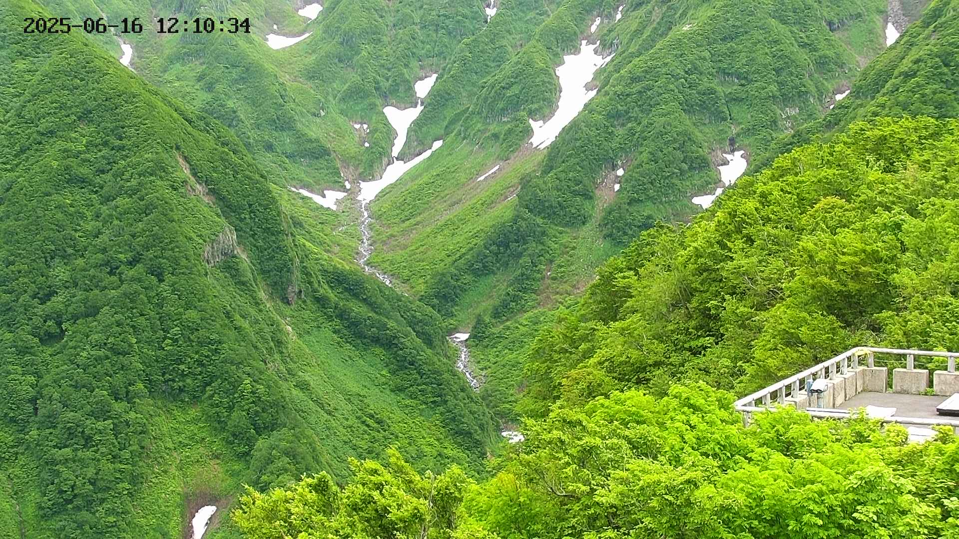 naso20250616121035.jpg