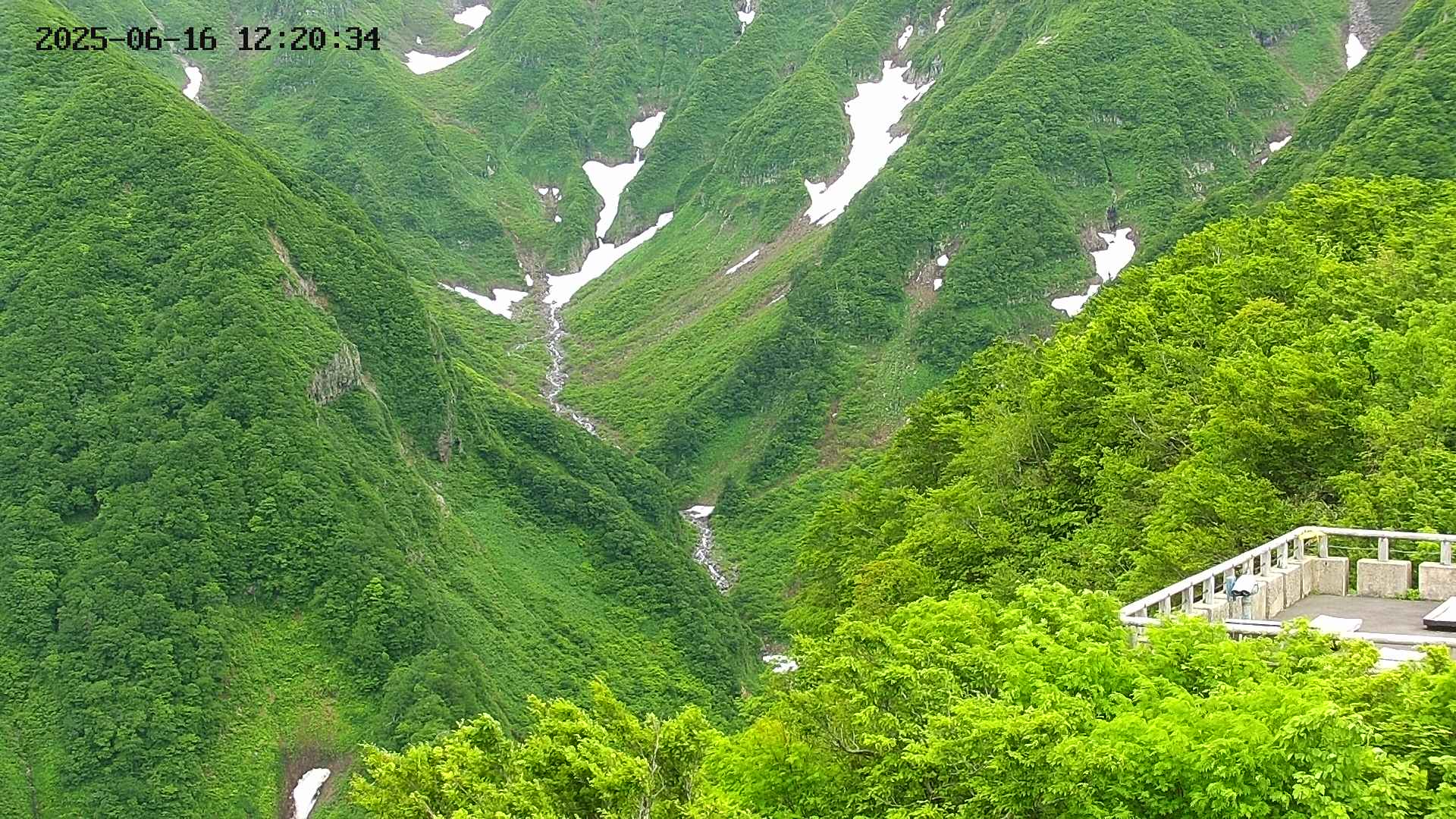 naso20250616122035.jpg
