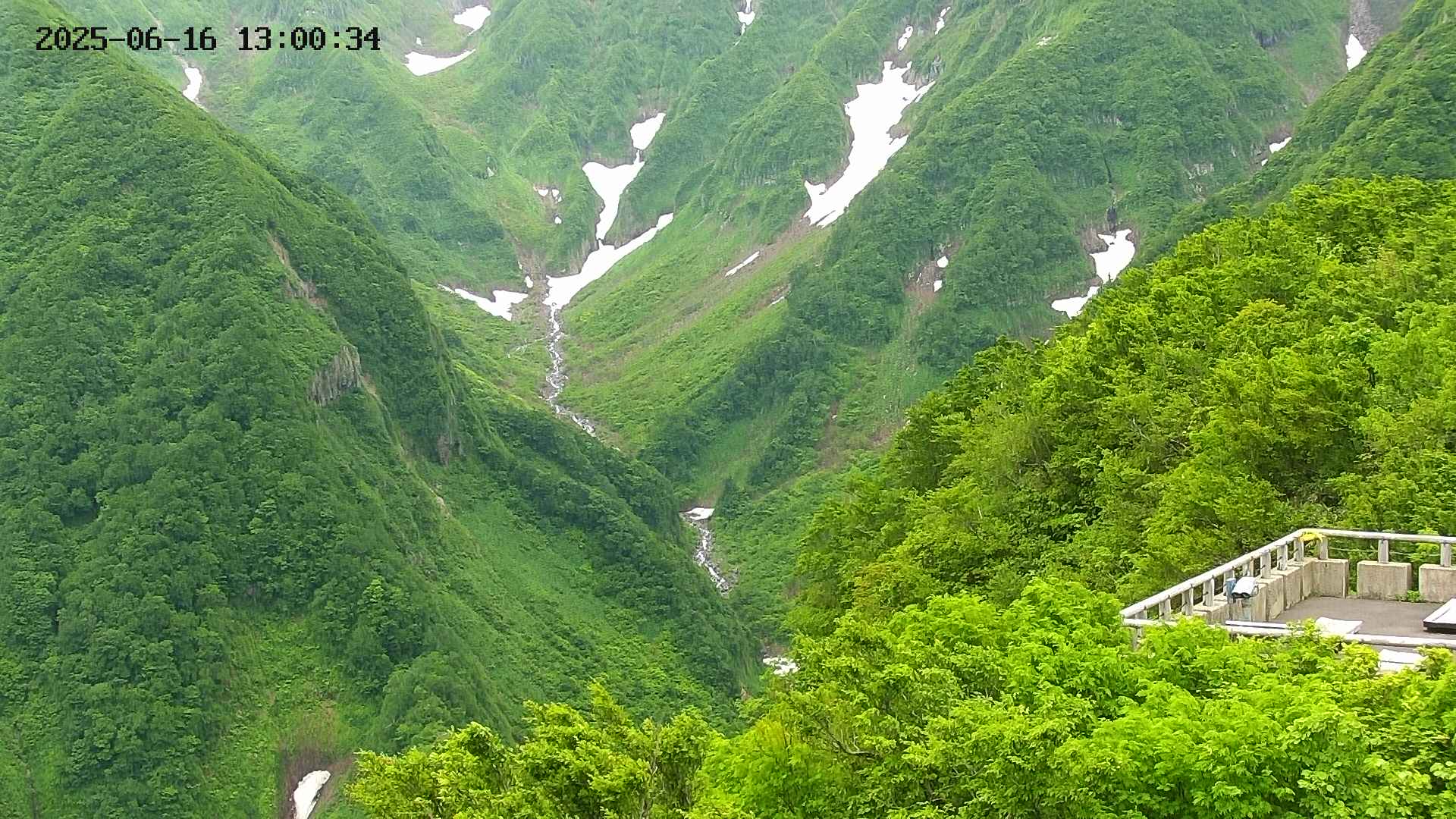 naso20250616130035.jpg